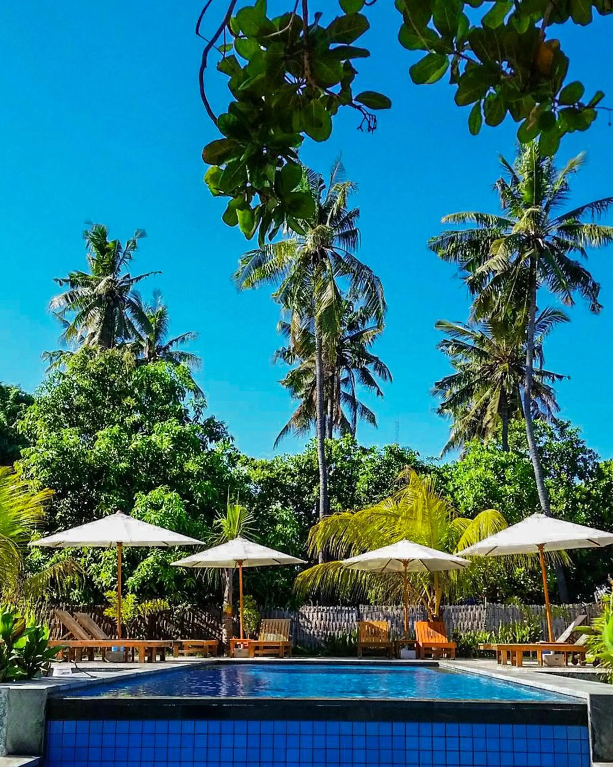 Swimming pool in Salili Bungalow