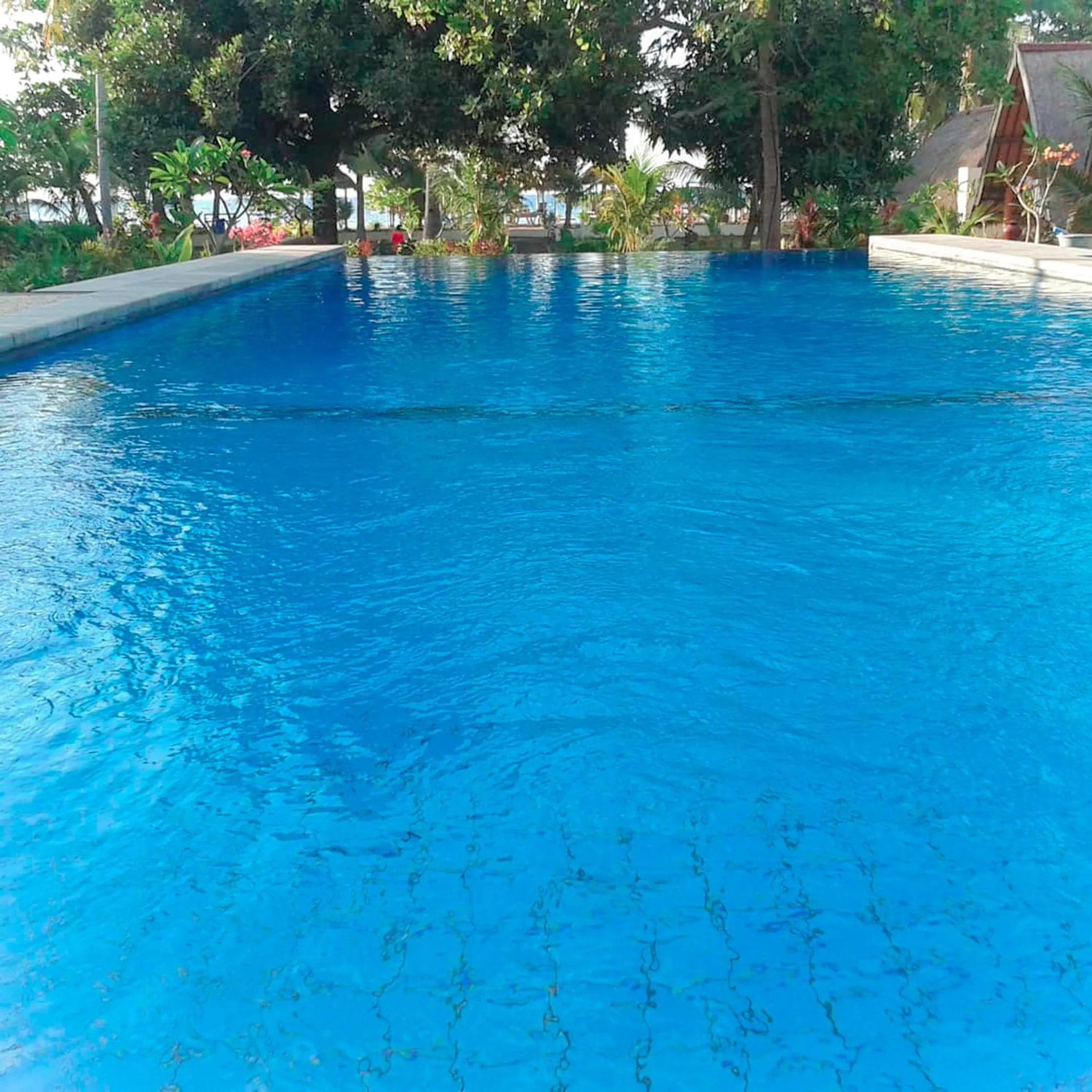 Swimming pool in Salili Bungalow