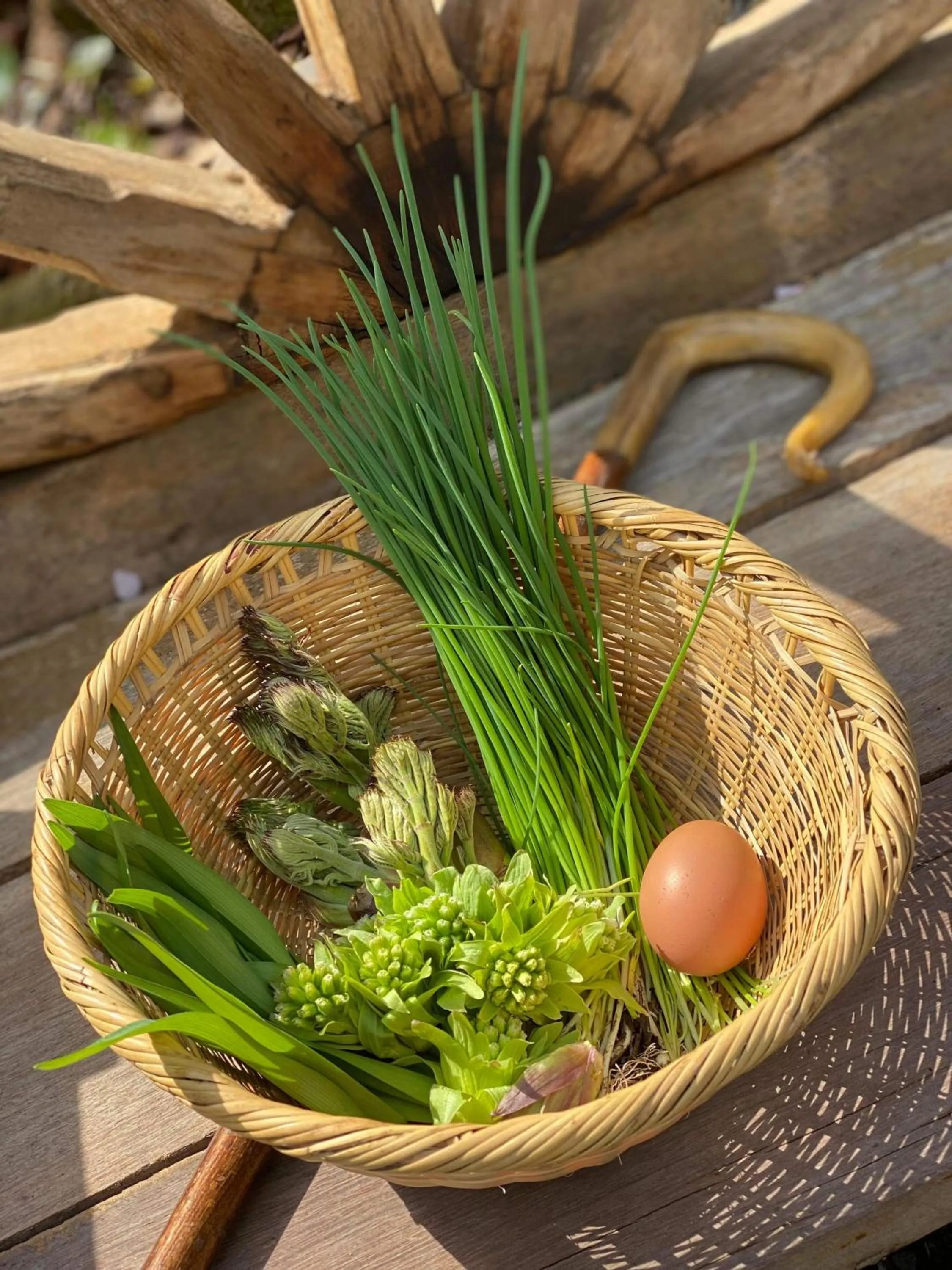Breakfast in Kizuna Lodge & BBQ Centre