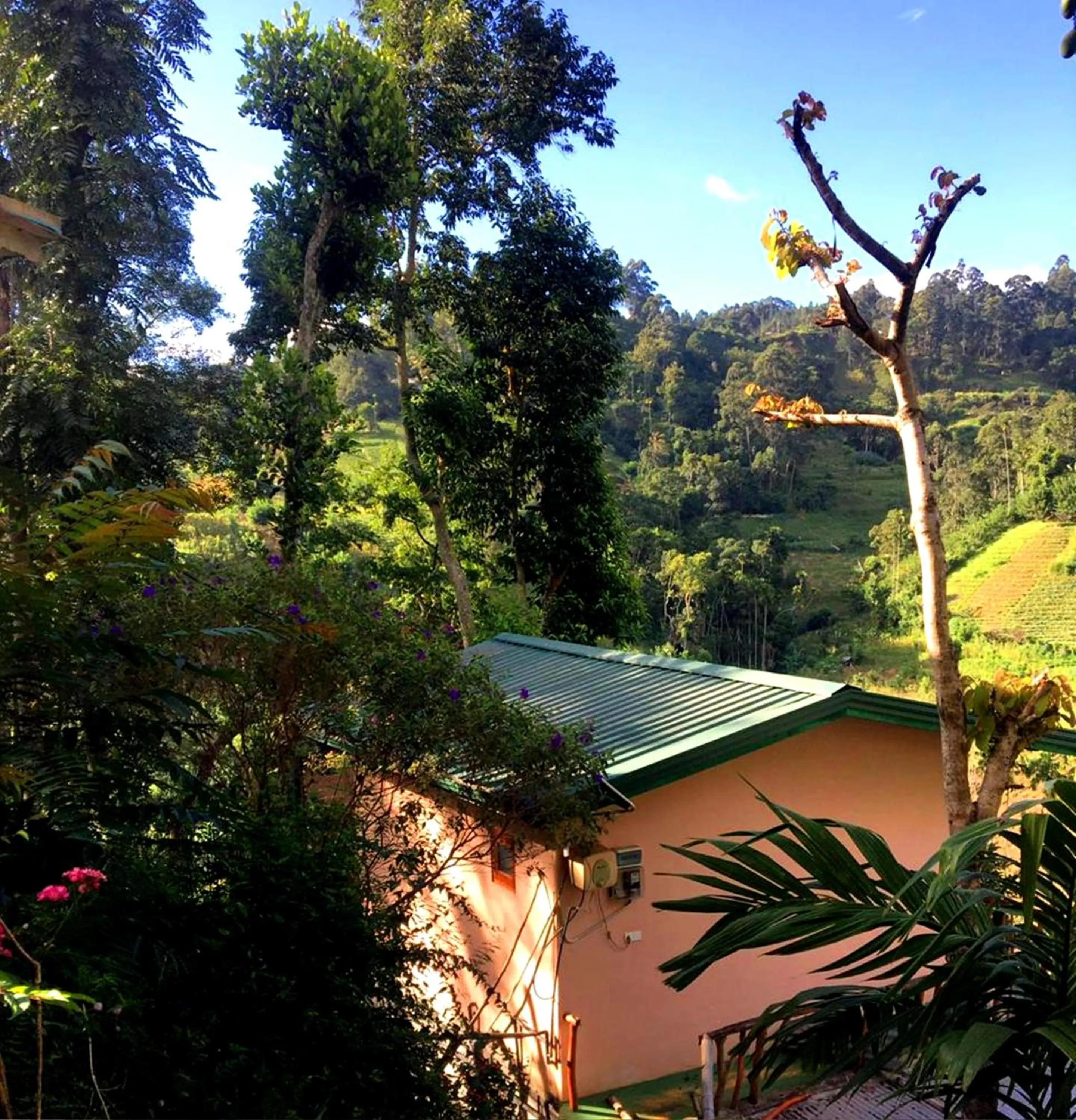 Property building in Mars Wonderland View