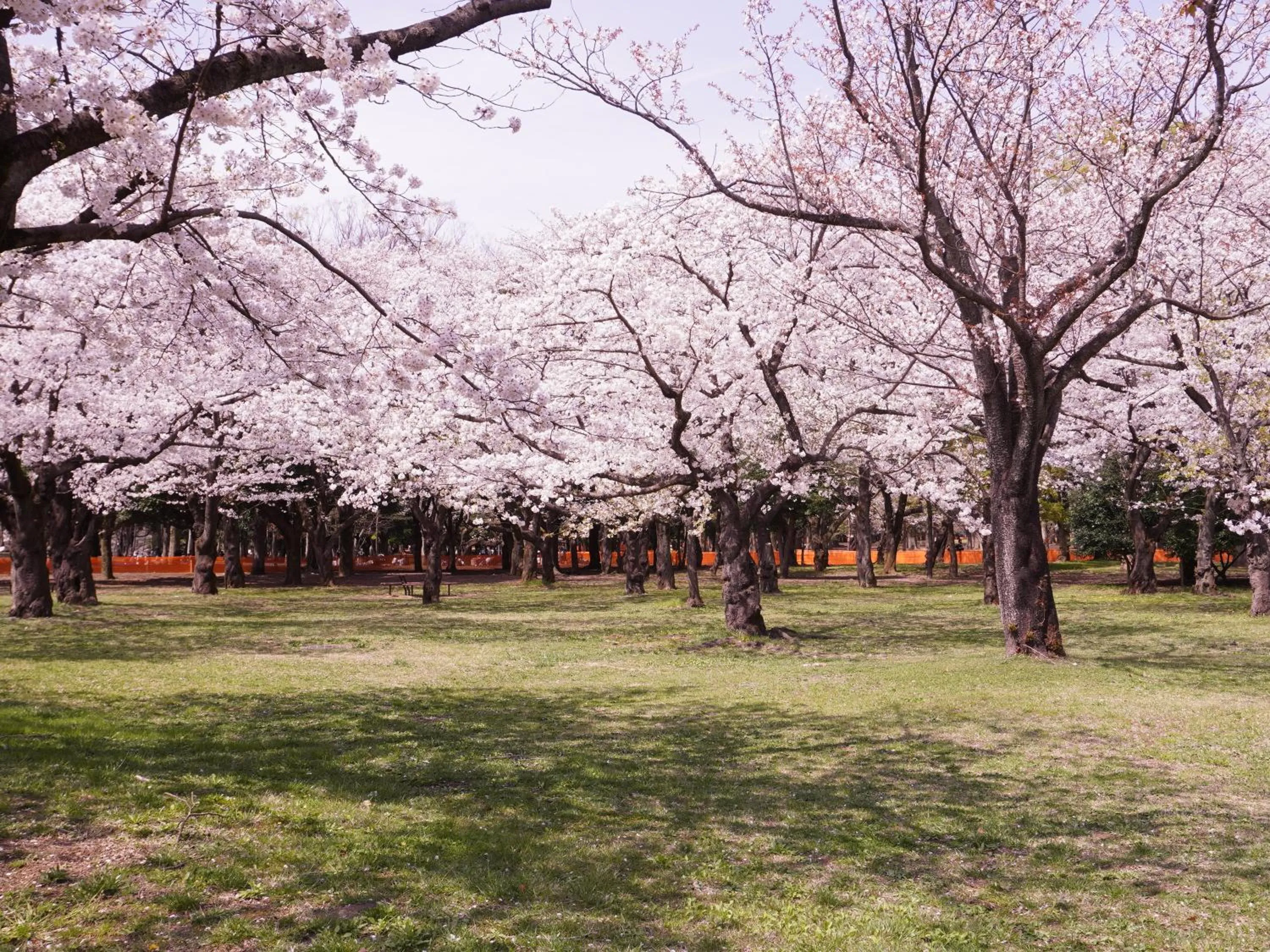 Nearby landmark in APA Hotel Shibuya Dogenzakaue