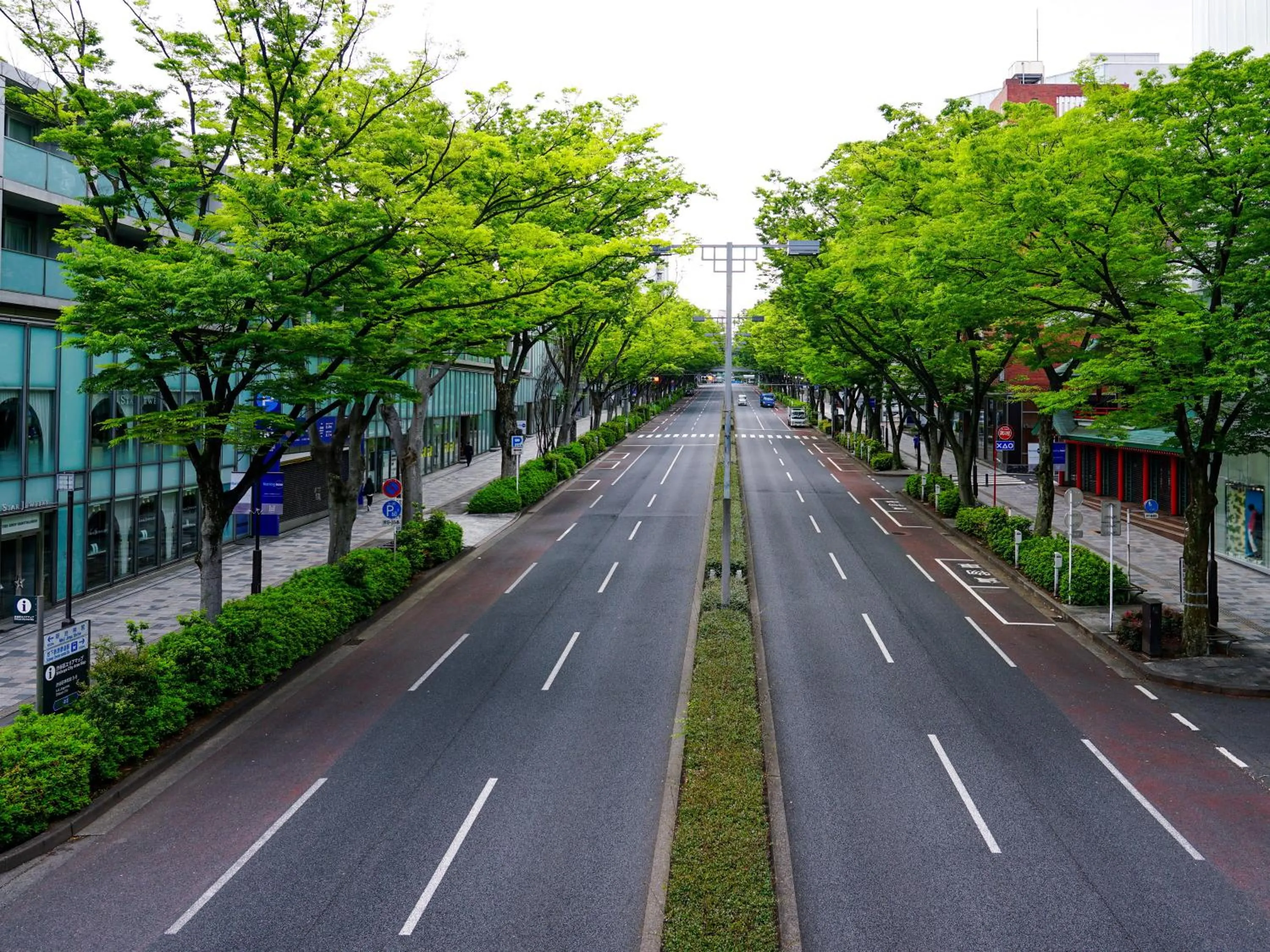 Off site in APA Hotel Shibuya Dogenzakaue