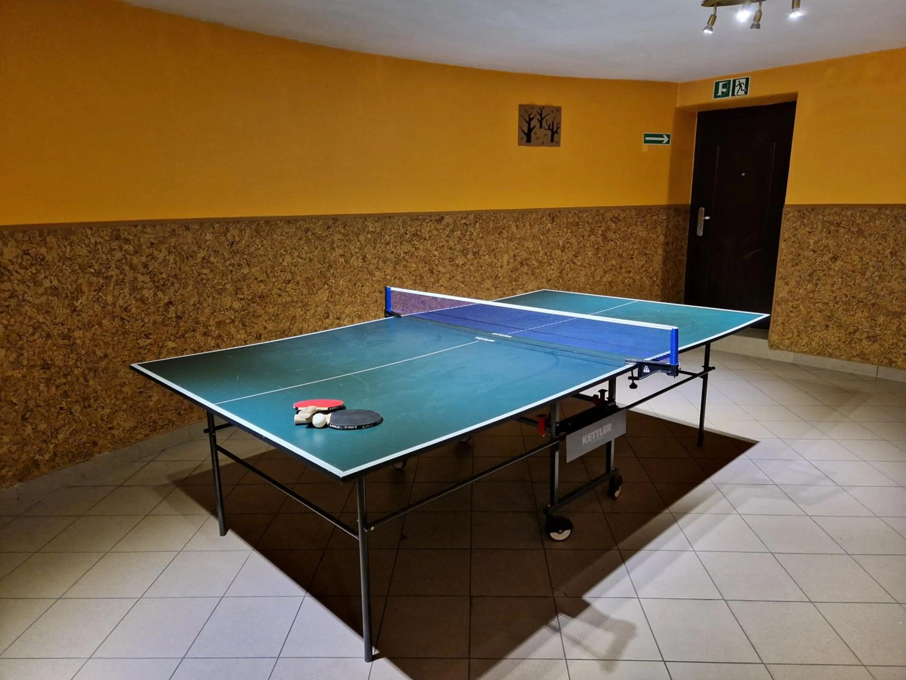 Table tennis in Gościniec Pięciu Stawów