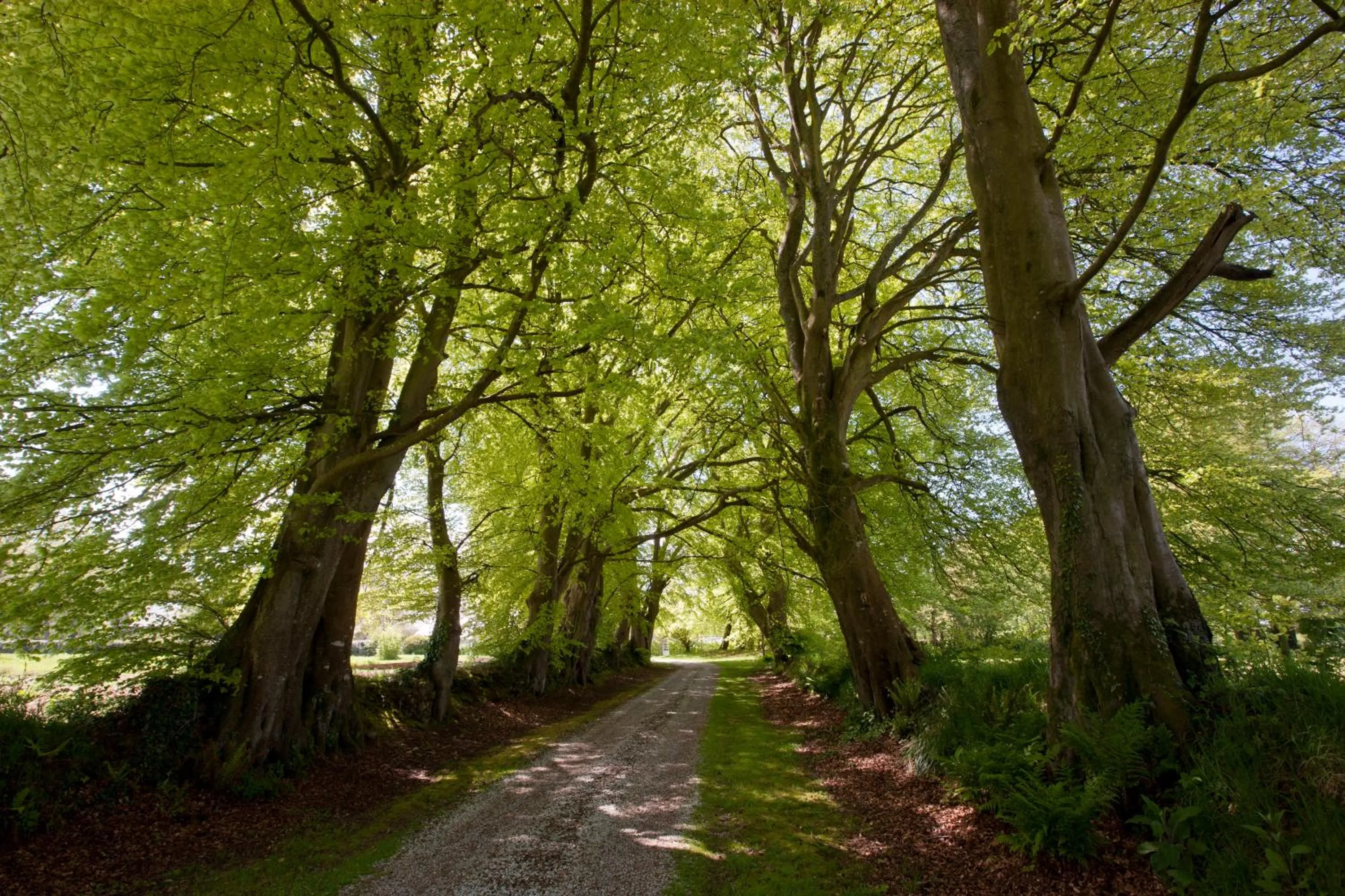 Facade/entrance in Le Manoir de La Fieffe