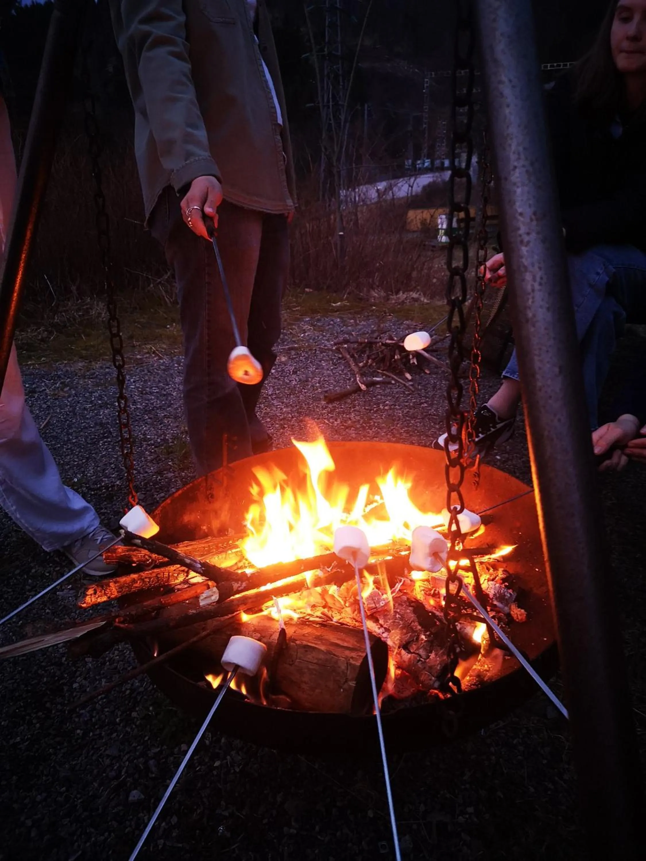 Activities in Bergen Hostel Montana