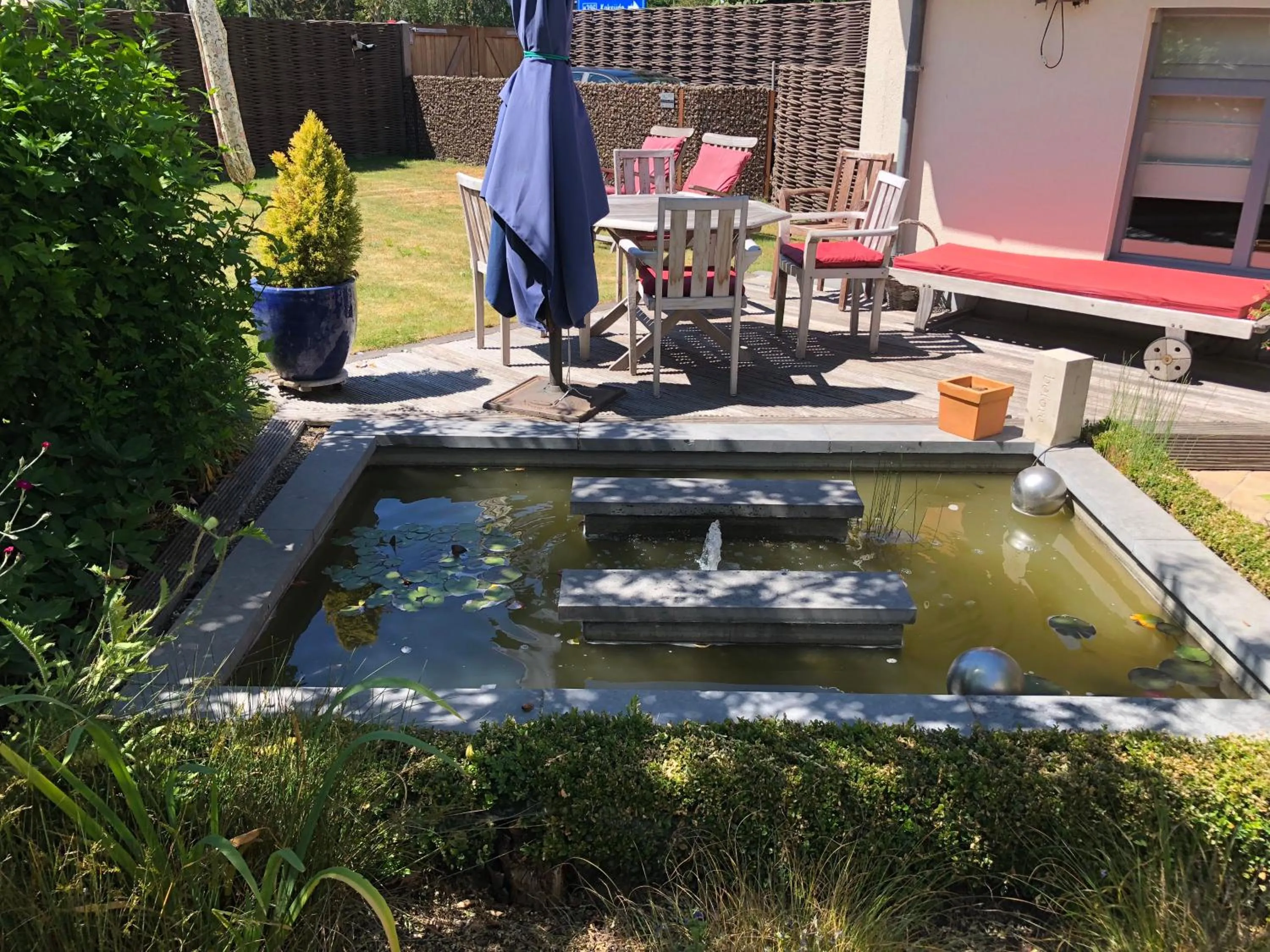 Garden in B&B Kudita