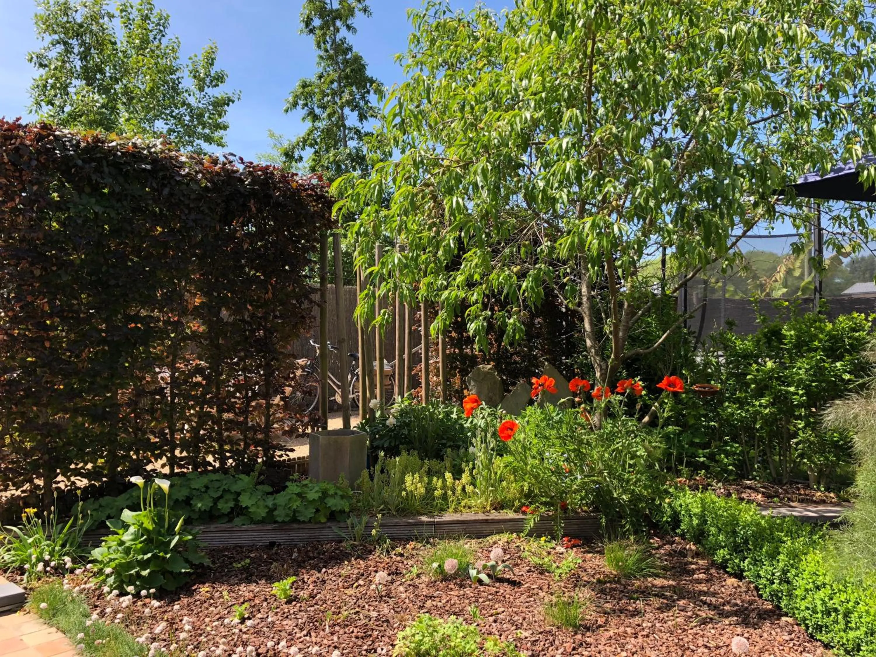 Garden in B&B Kudita