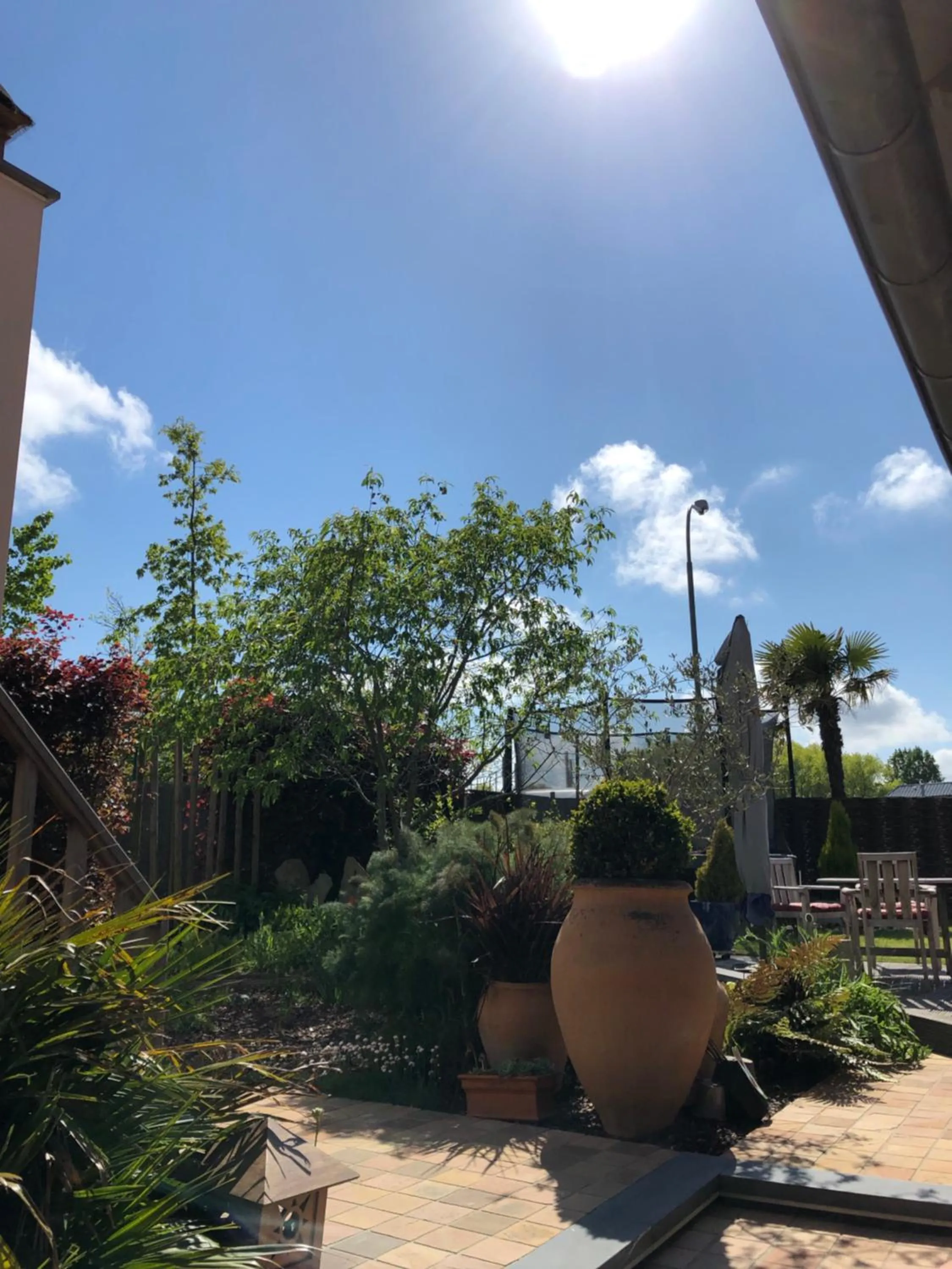 Garden in B&B Kudita