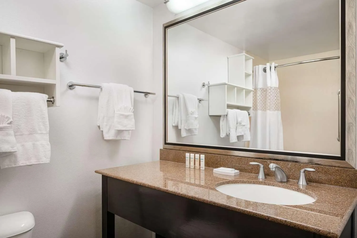 Toilet in Hampton Inn Boulder/Louisville