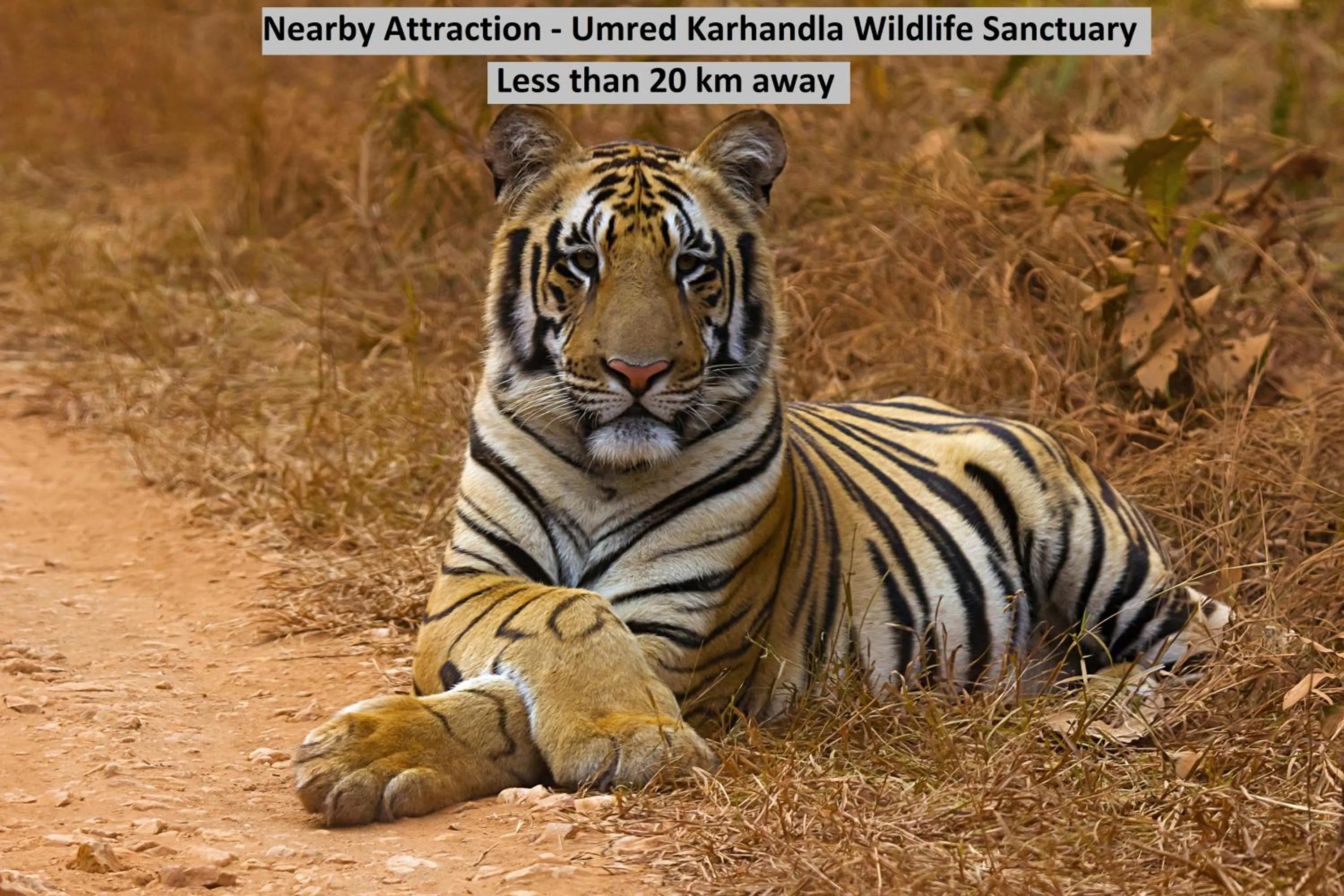 Location in Hotel Shelter