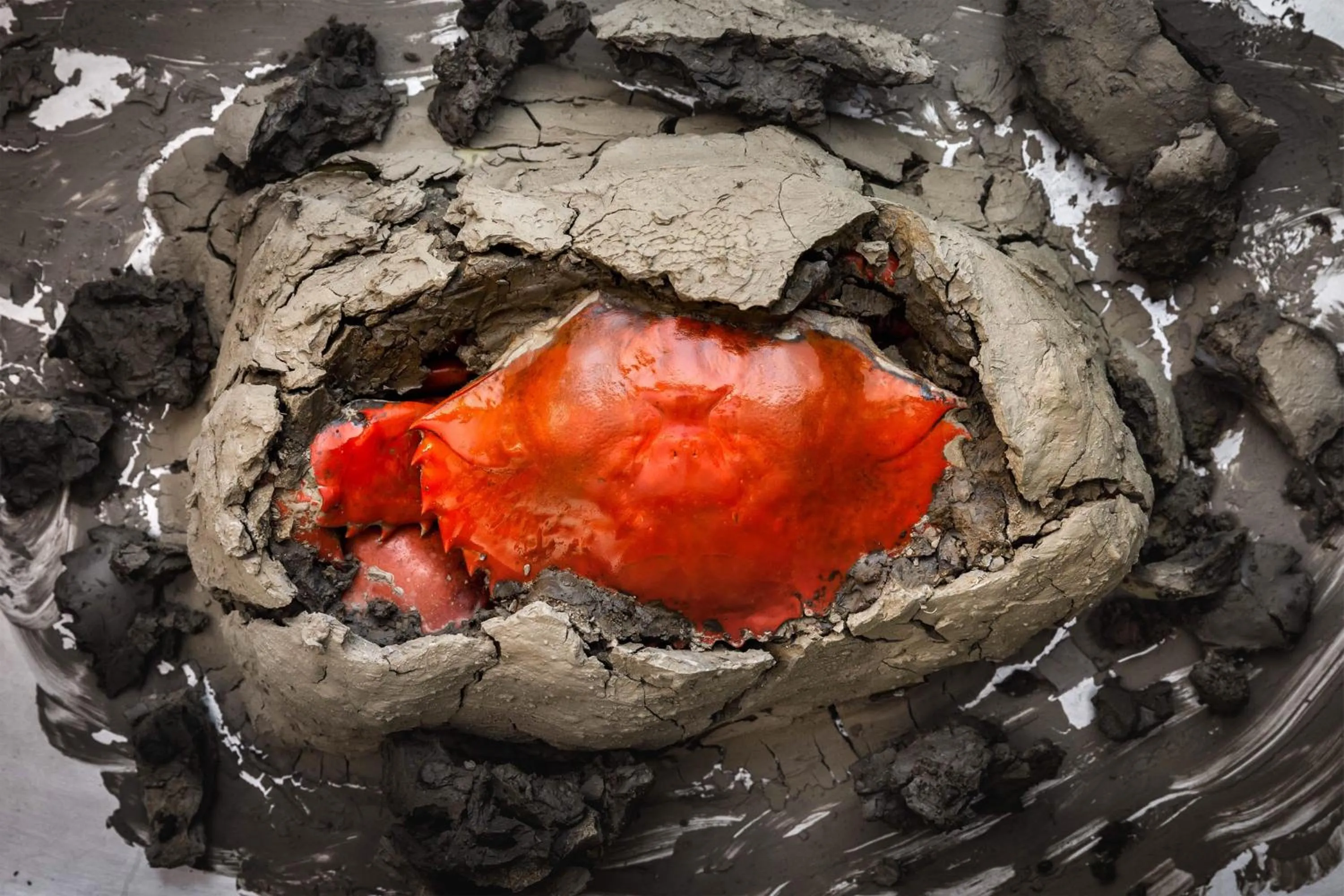 Restaurant/places to eat in W Bangkok Hotel