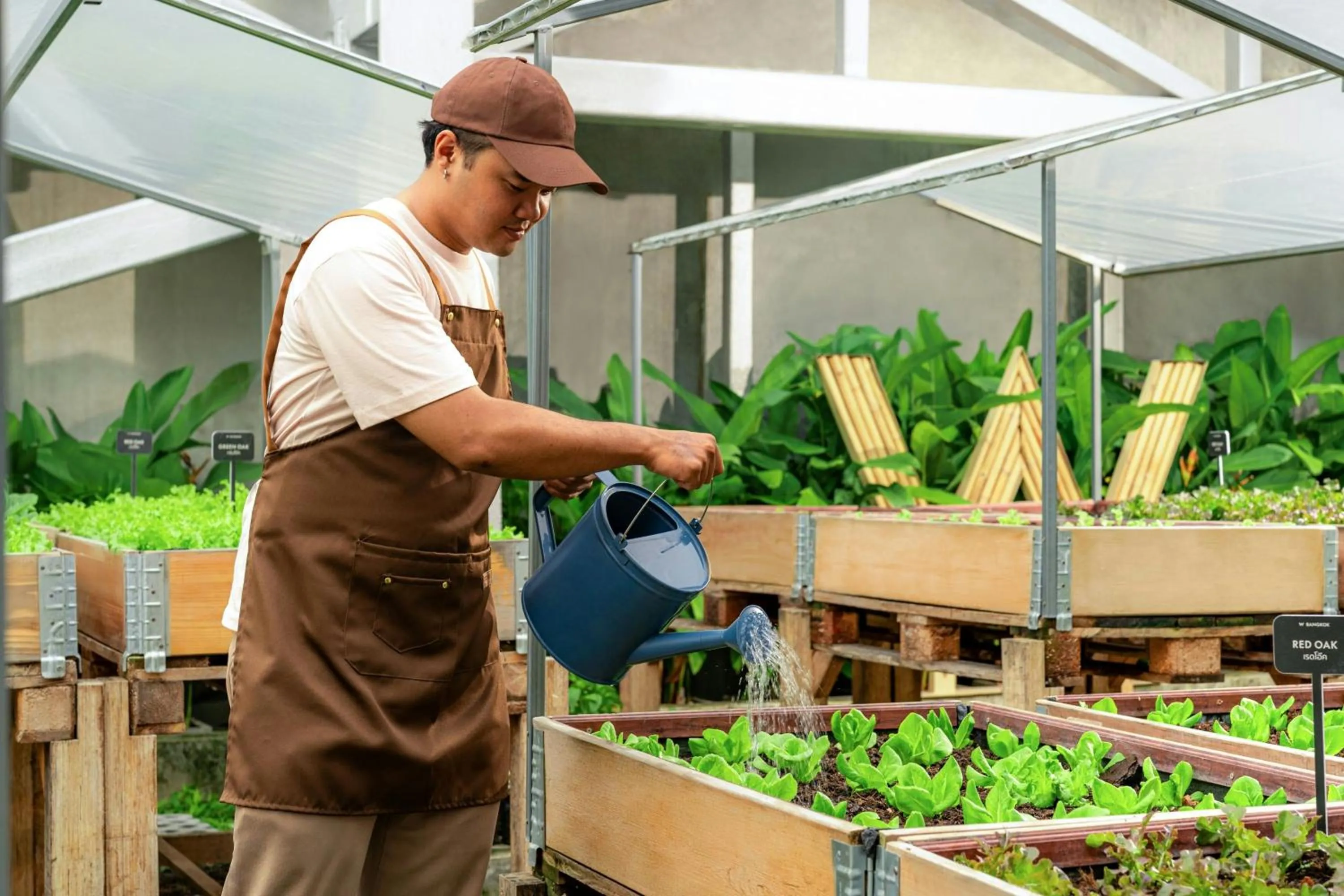 Other in W Bangkok Hotel