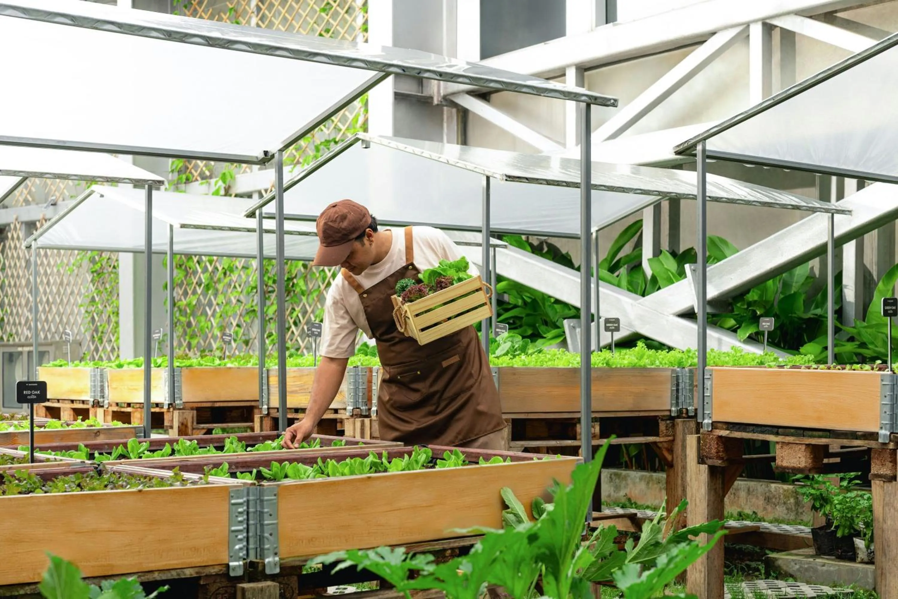 Other in W Bangkok Hotel