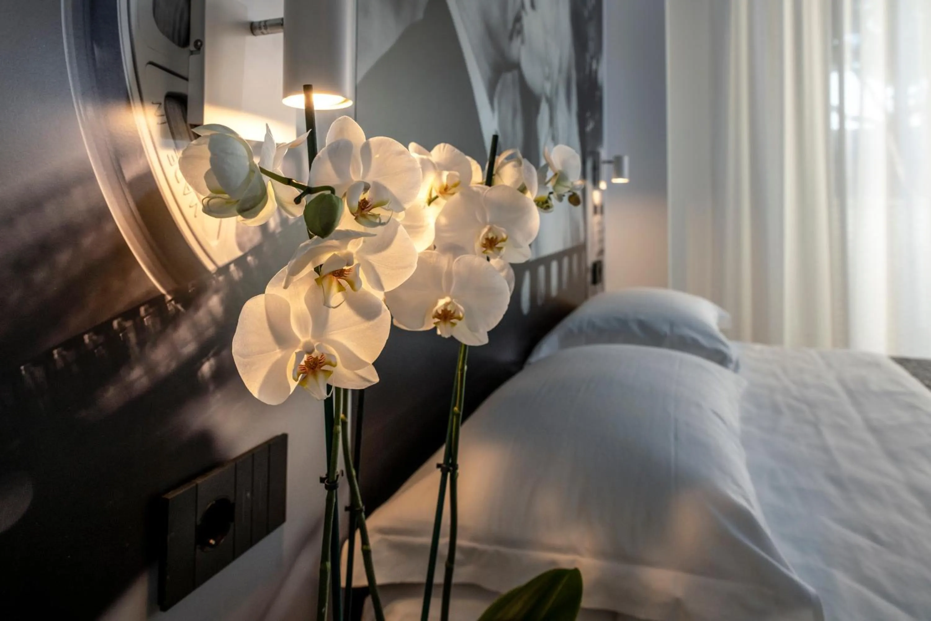 Bed in Residence Filmare