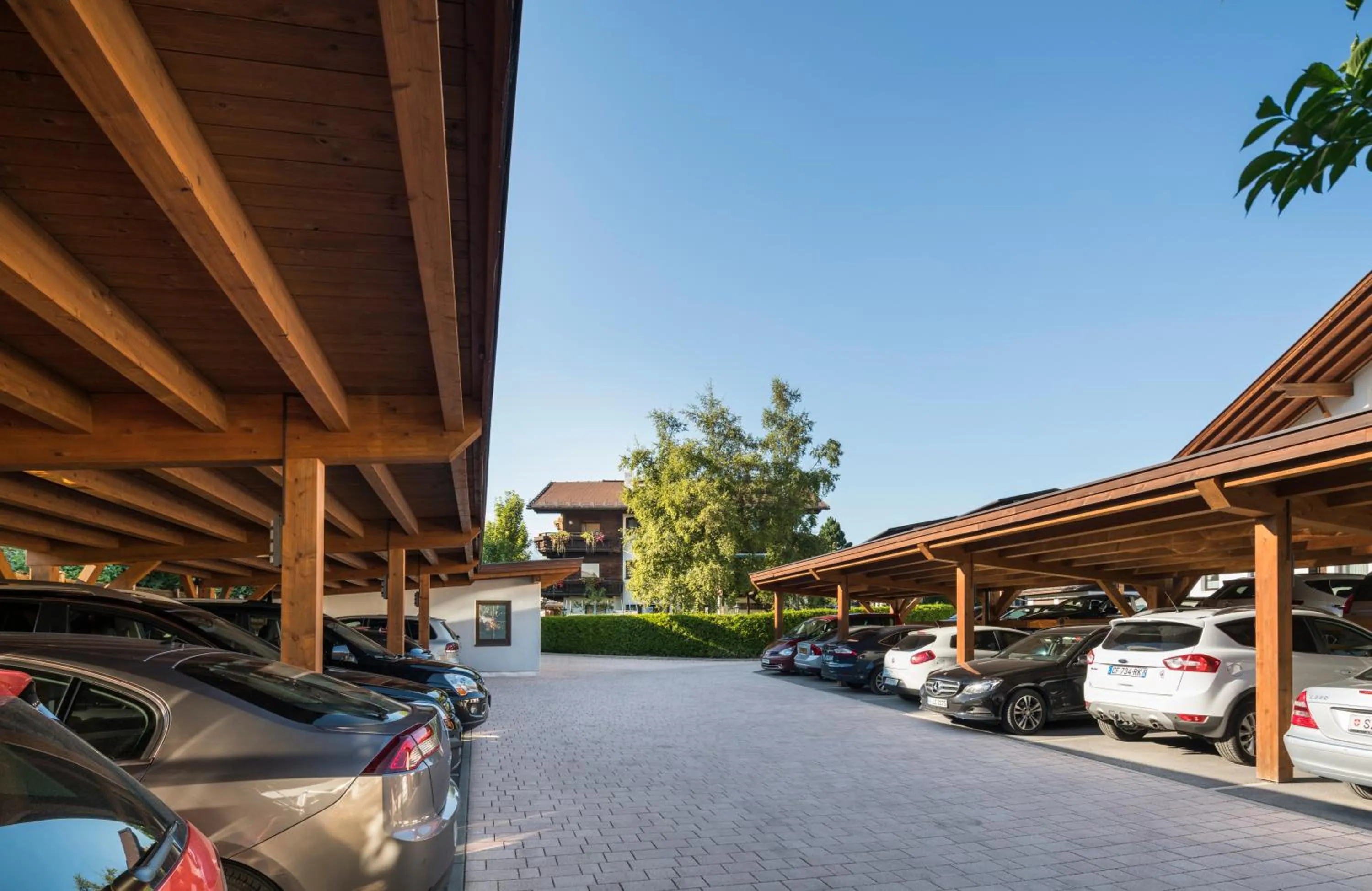 Area and facilities in Hotel Haymon