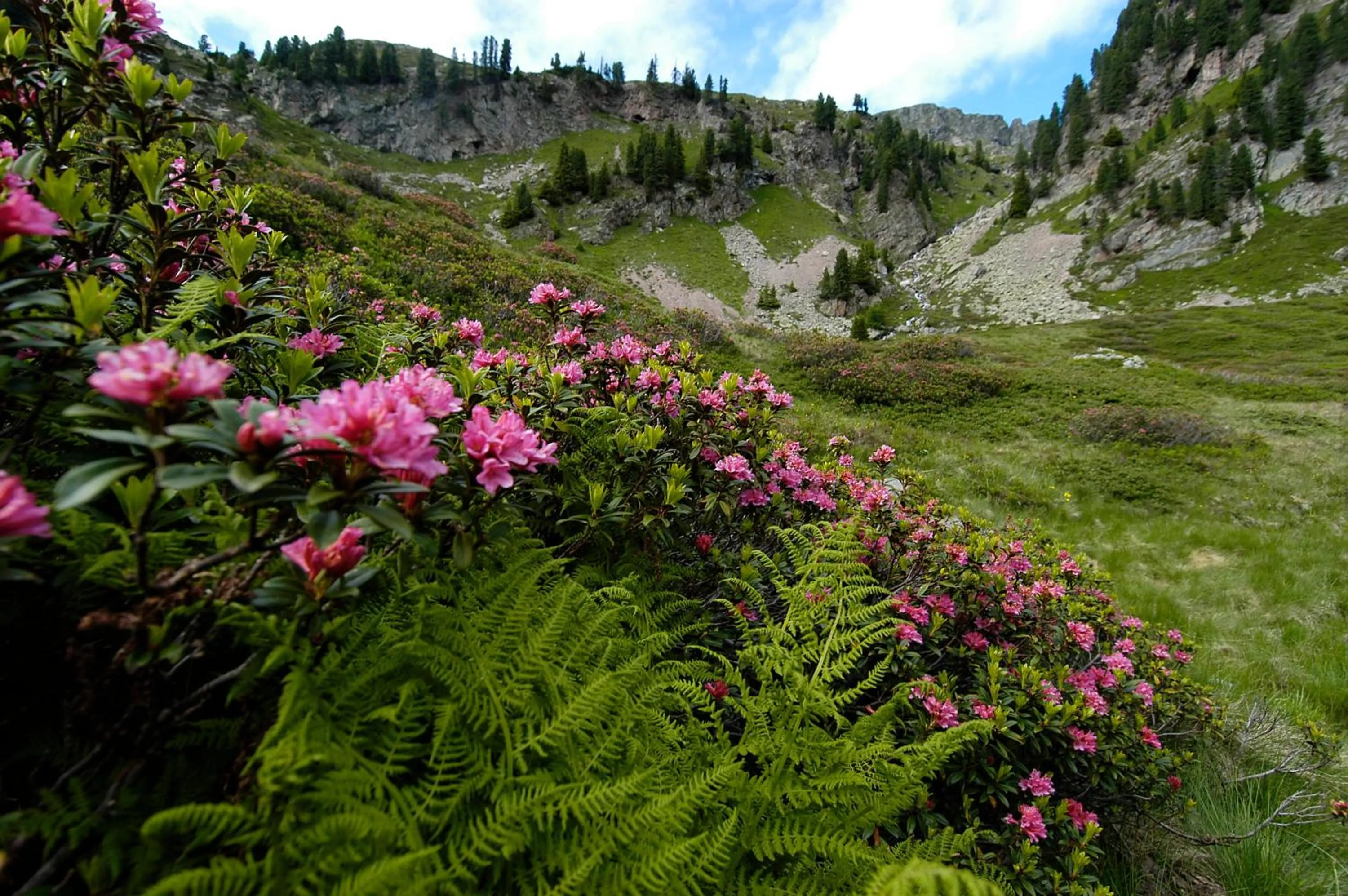 Spring in Hotel Feldrand