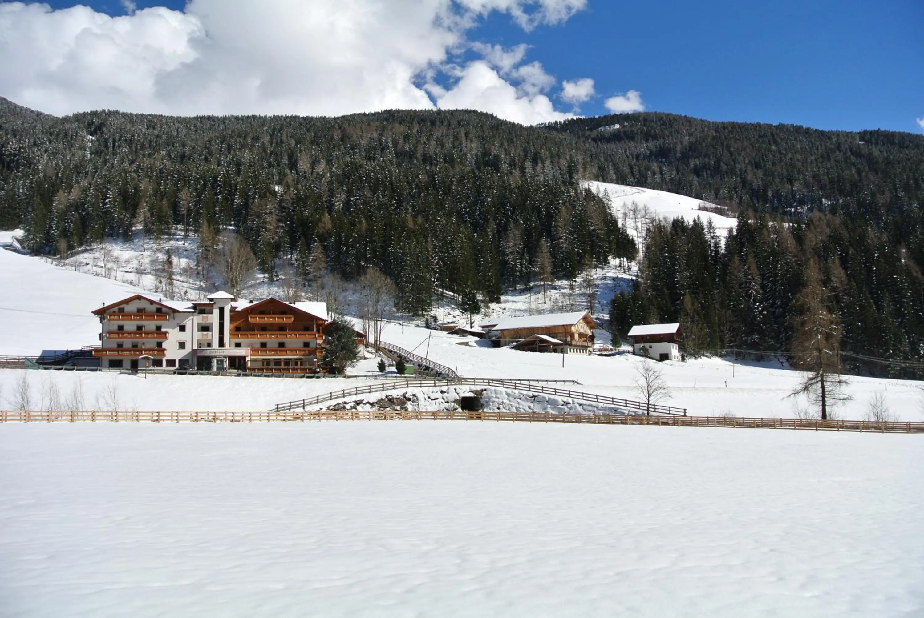 Facade/entrance in Hotel Feldrand