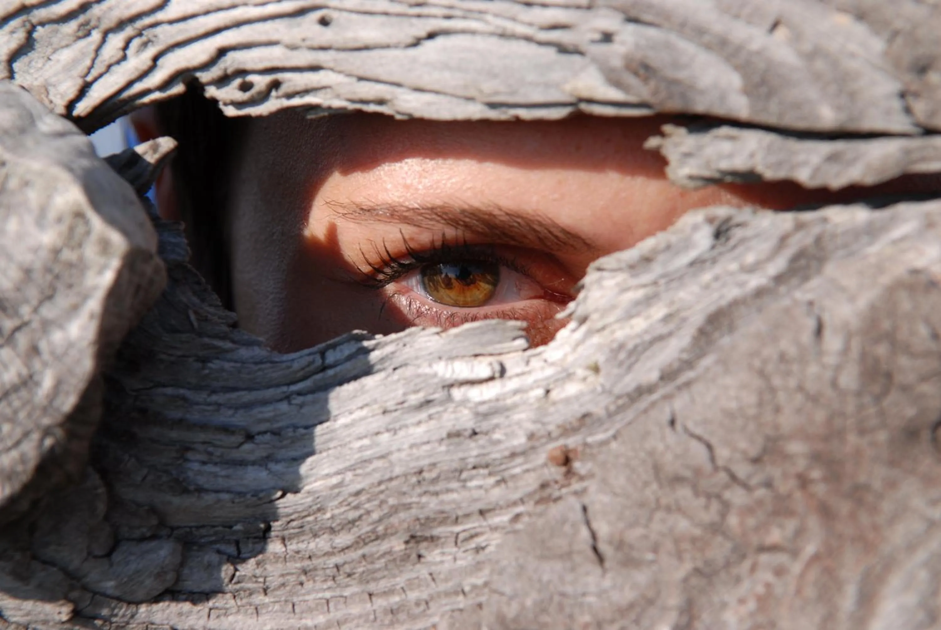 Landmark view in Hotel Feldrand