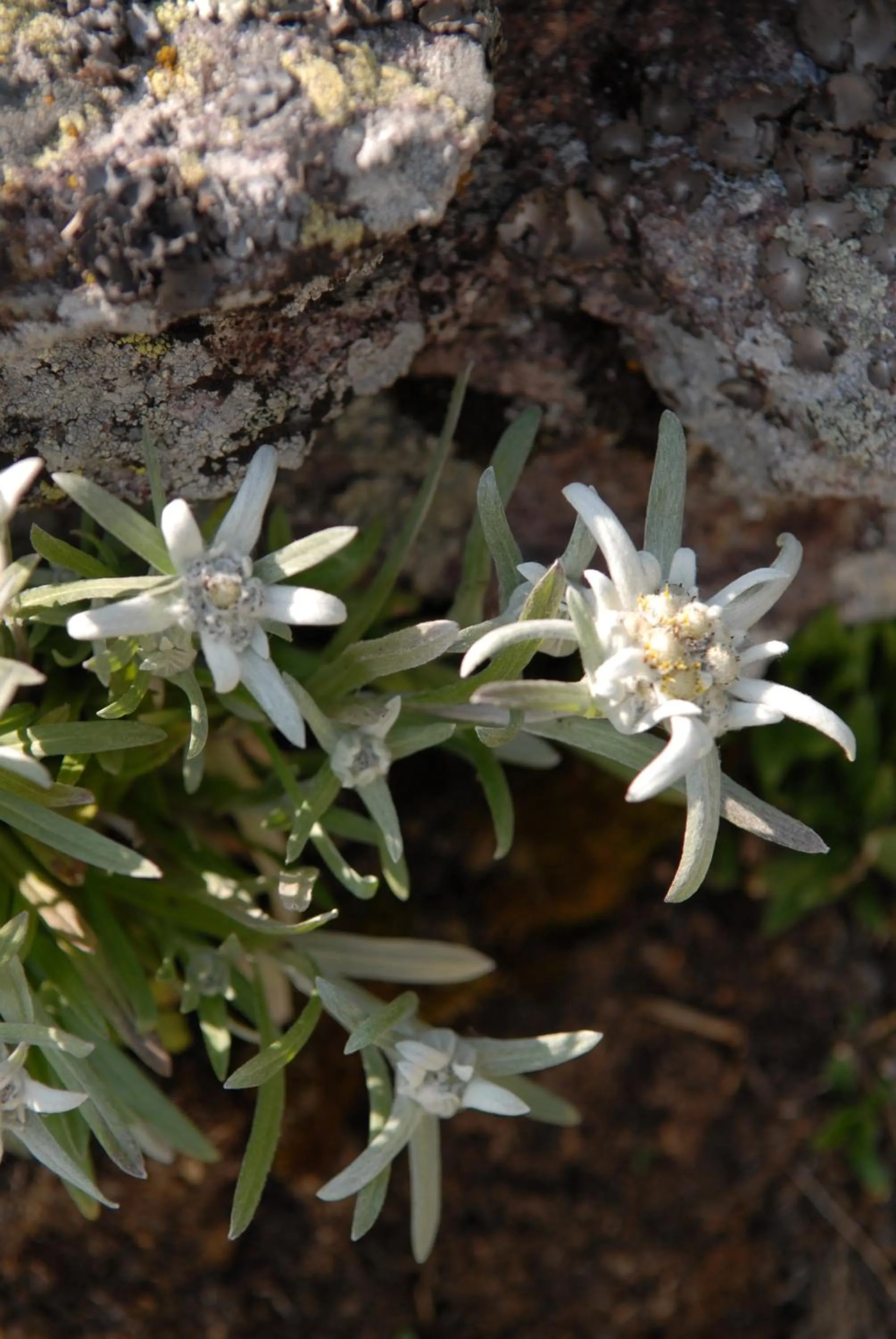 Nearby landmark in Hotel Feldrand