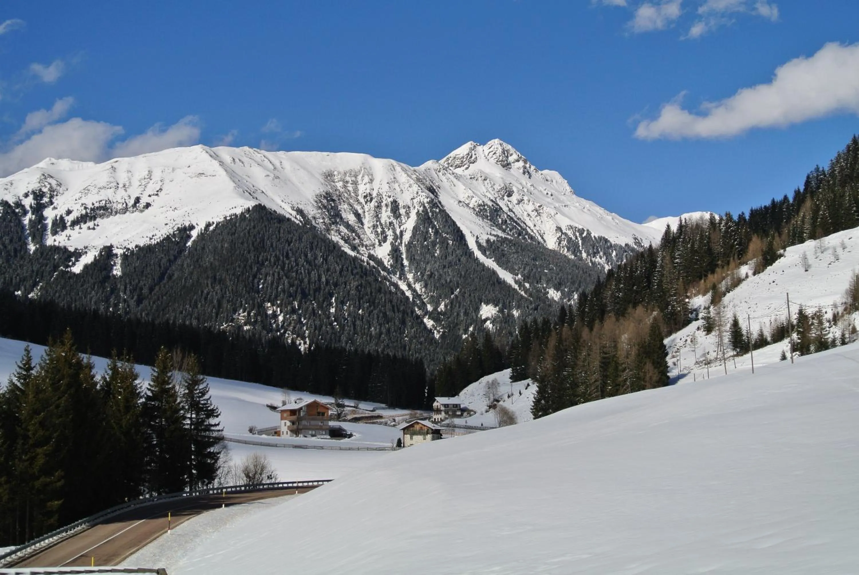 Area and facilities in Hotel Feldrand