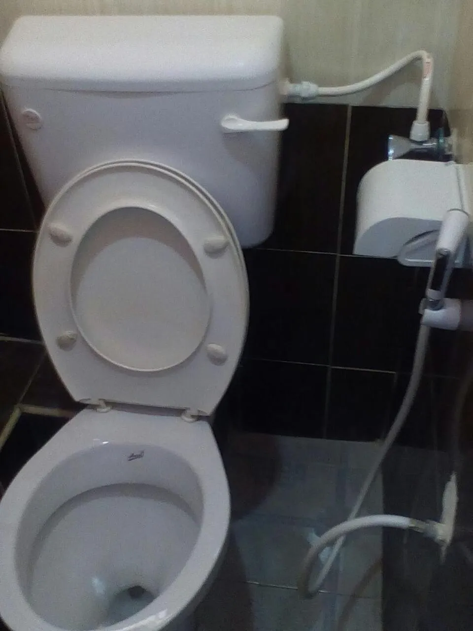 Viriko Boarding House