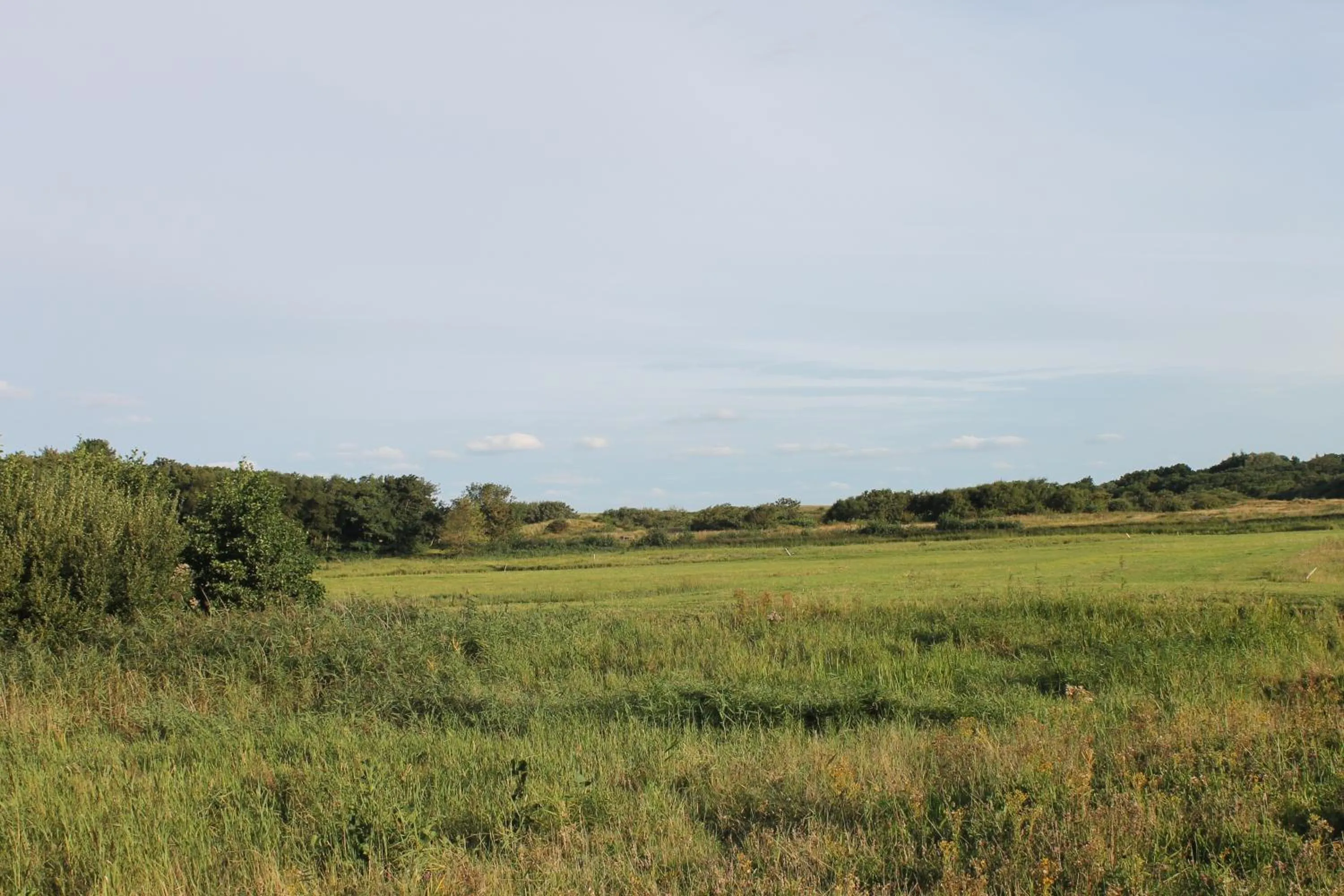 Area and facilities in Hotel Studio Bosch Duin Strand