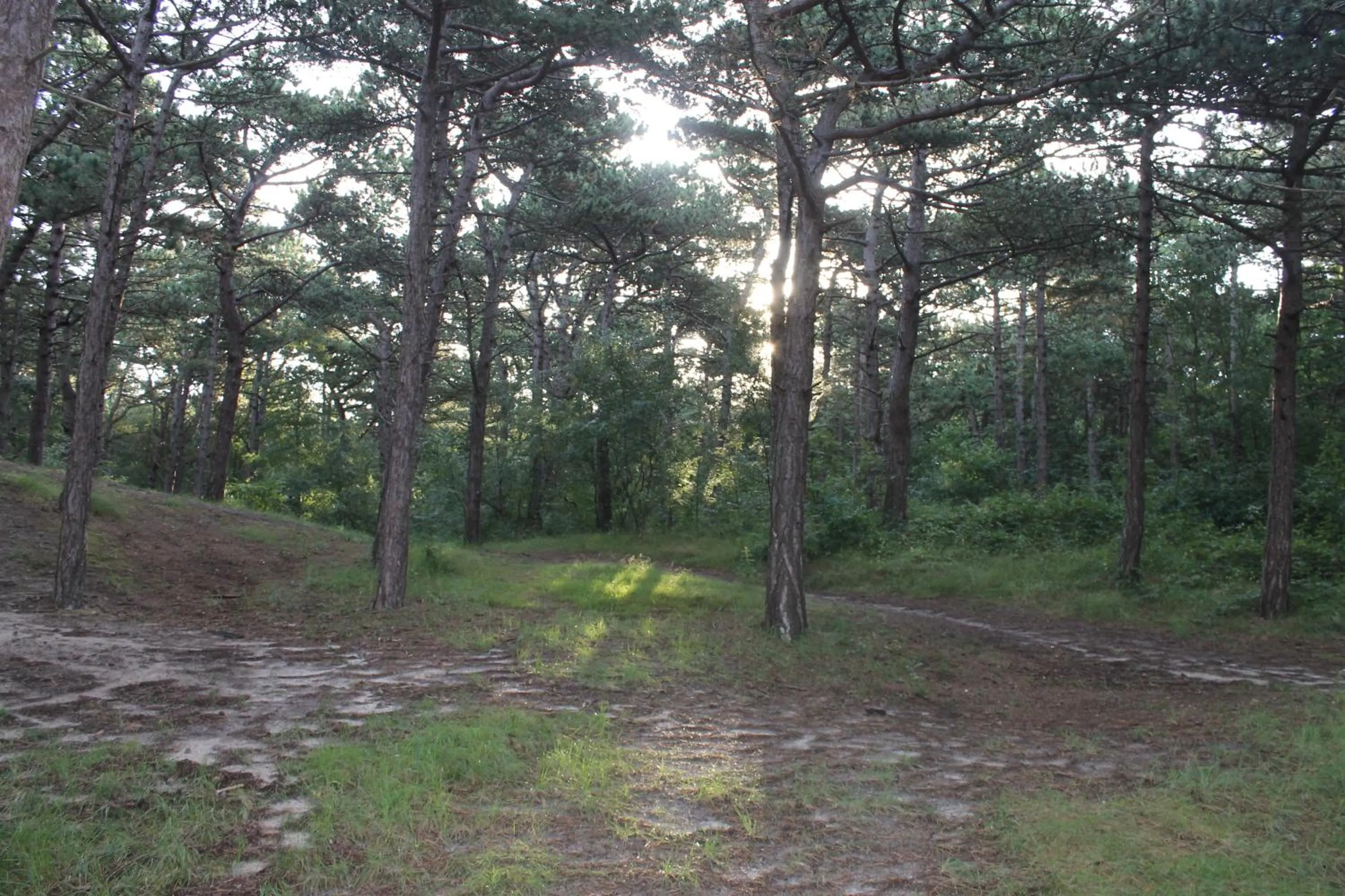 Area and facilities in Hotel Studio Bosch Duin Strand