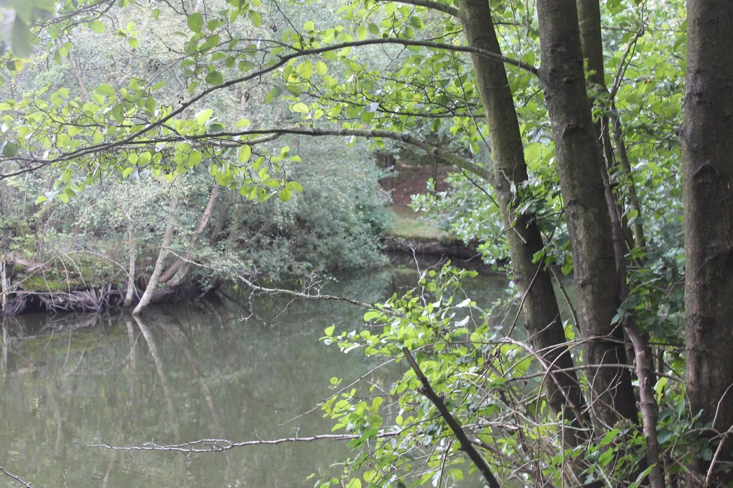 Area and facilities in Hotel Studio Bosch Duin Strand