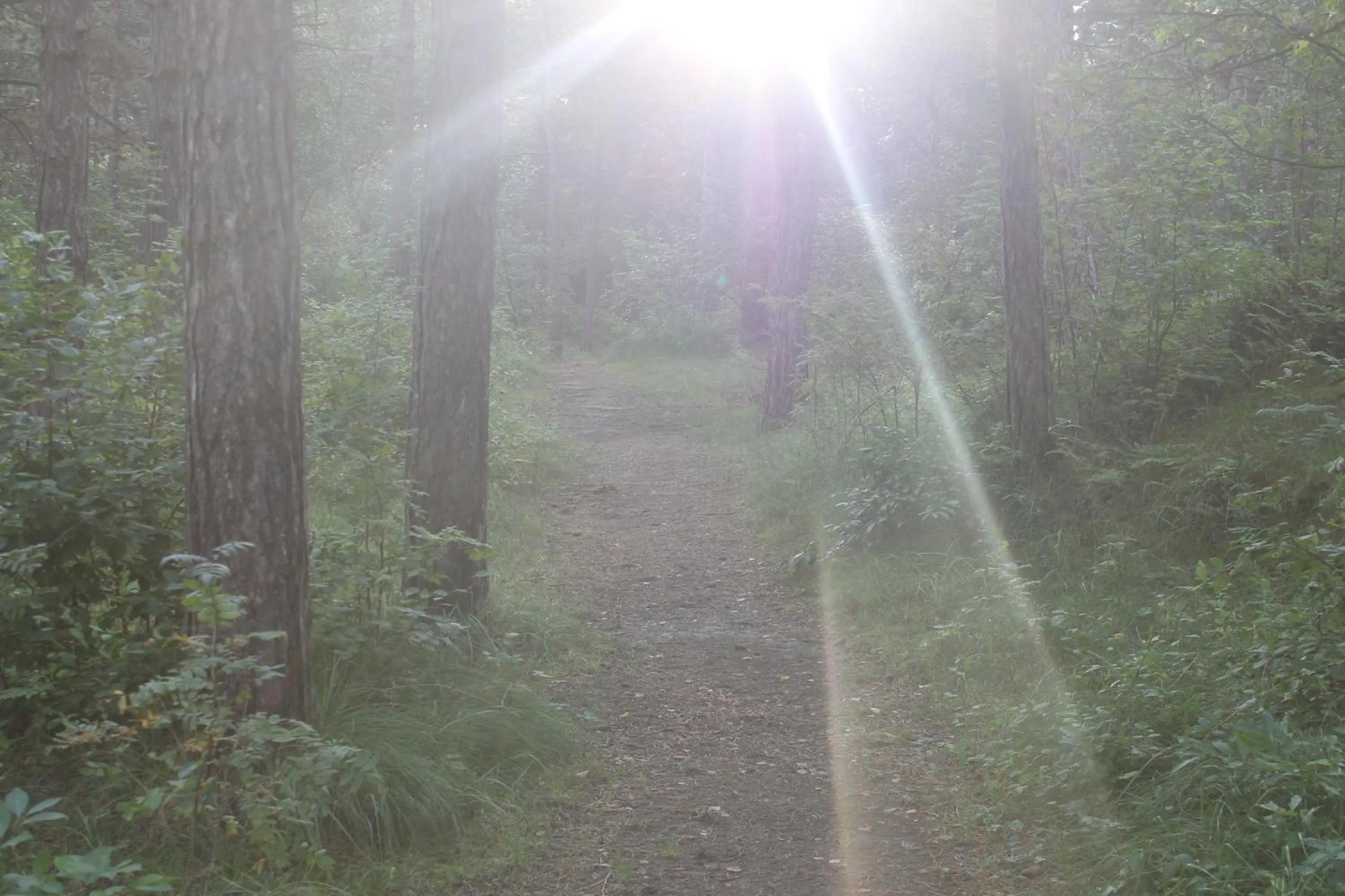 Area and facilities in Hotel Studio Bosch Duin Strand