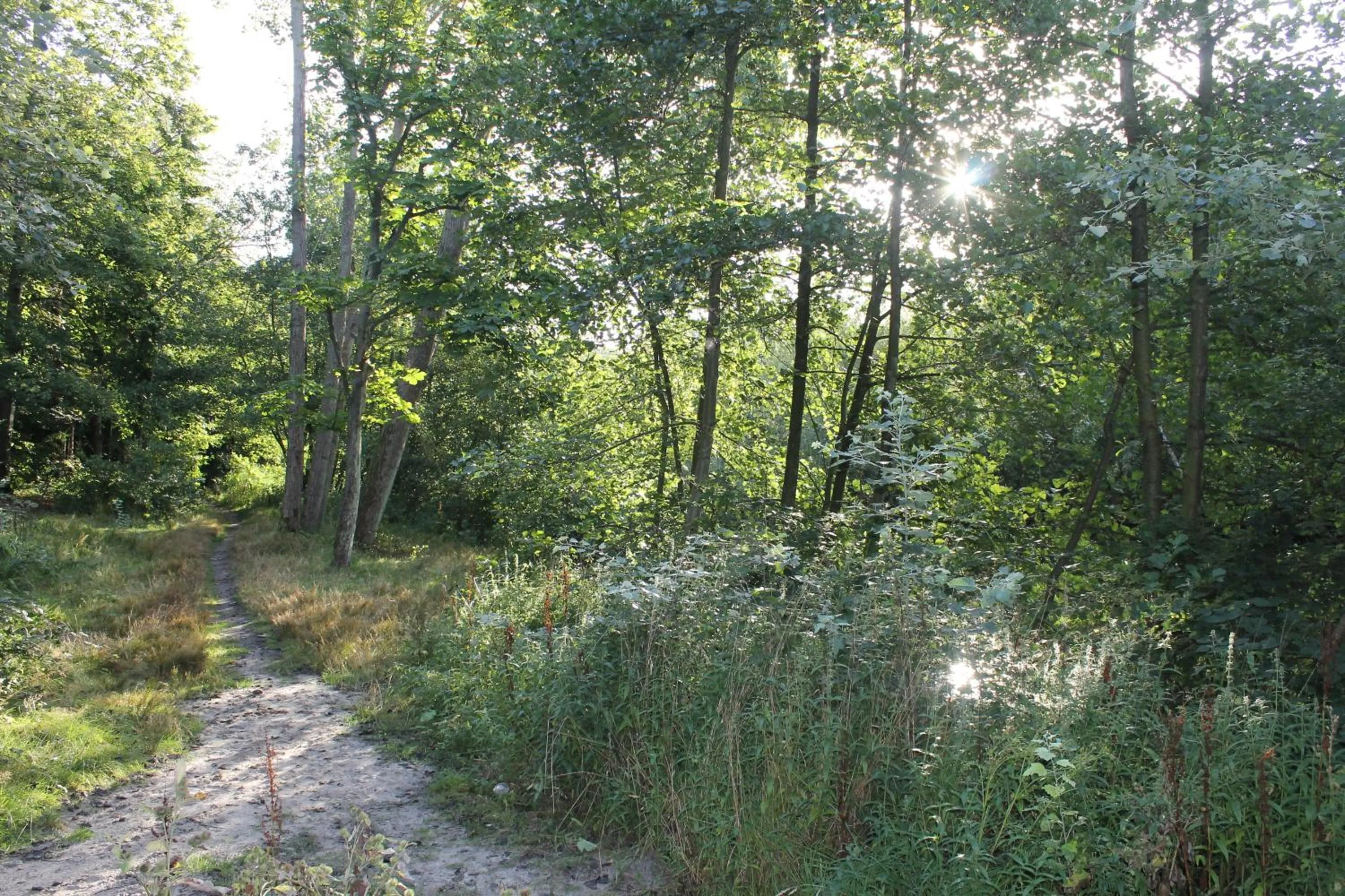 Area and facilities in Hotel Studio Bosch Duin Strand