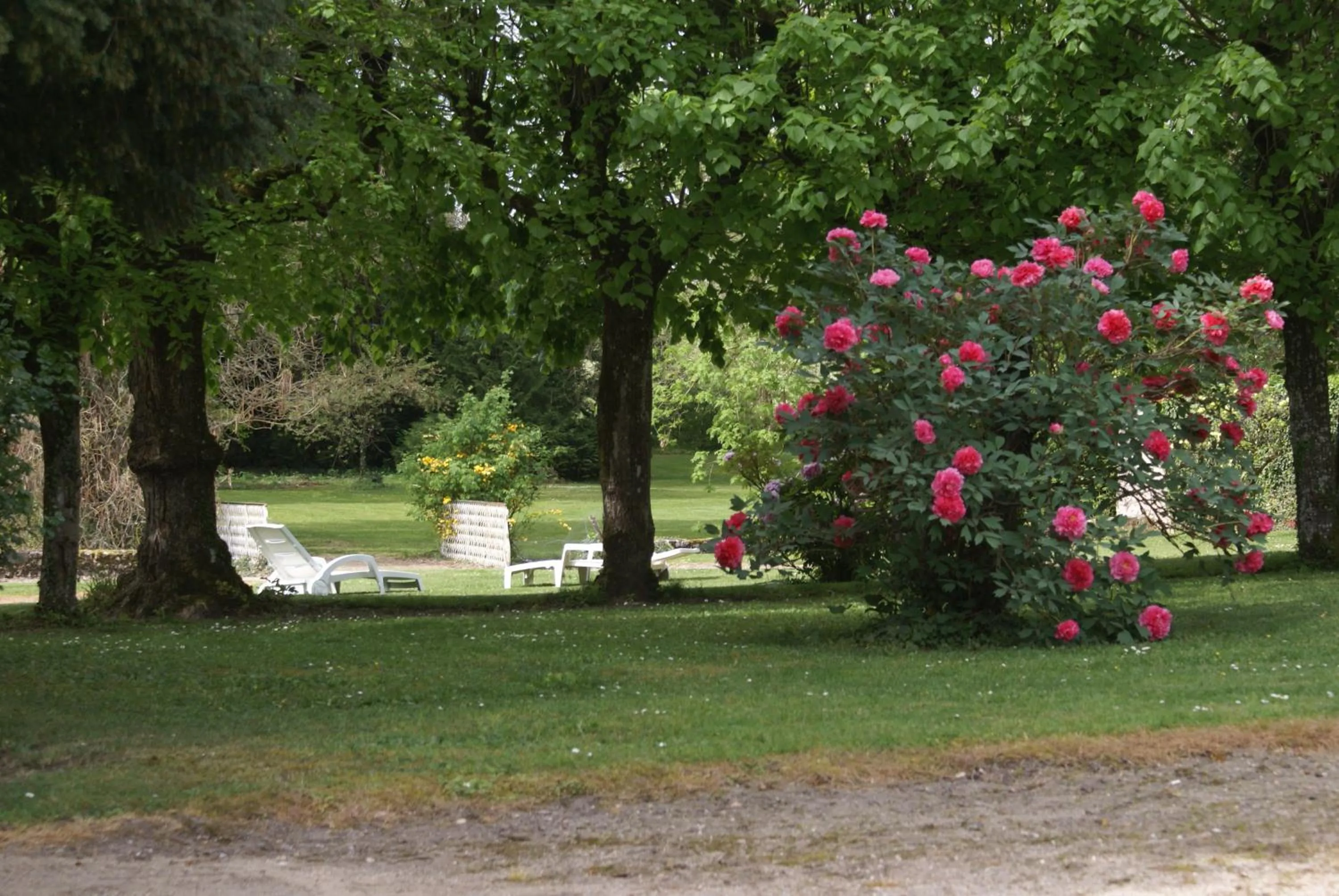 Garden view in Le Béguinage