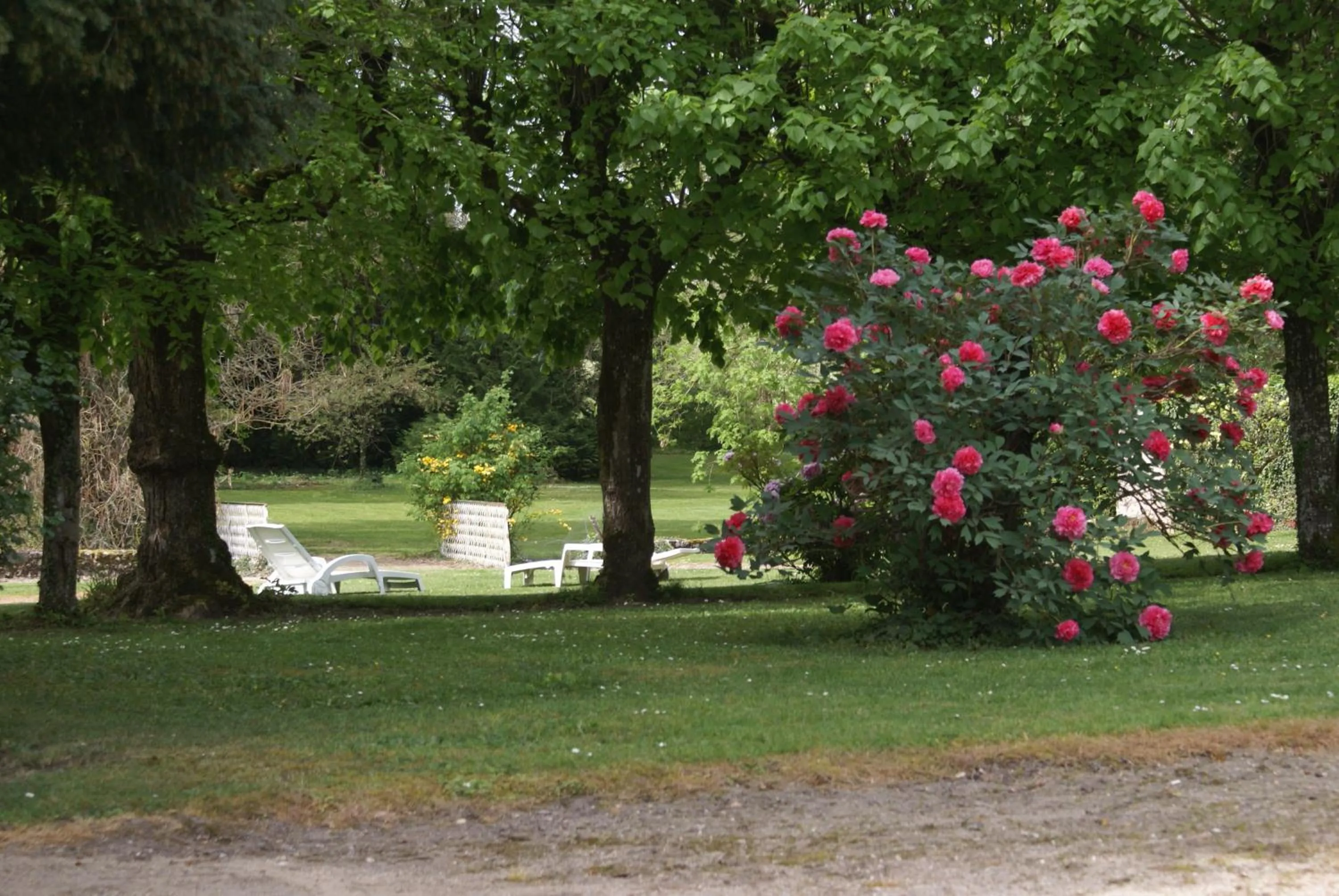 Garden view in Le Béguinage