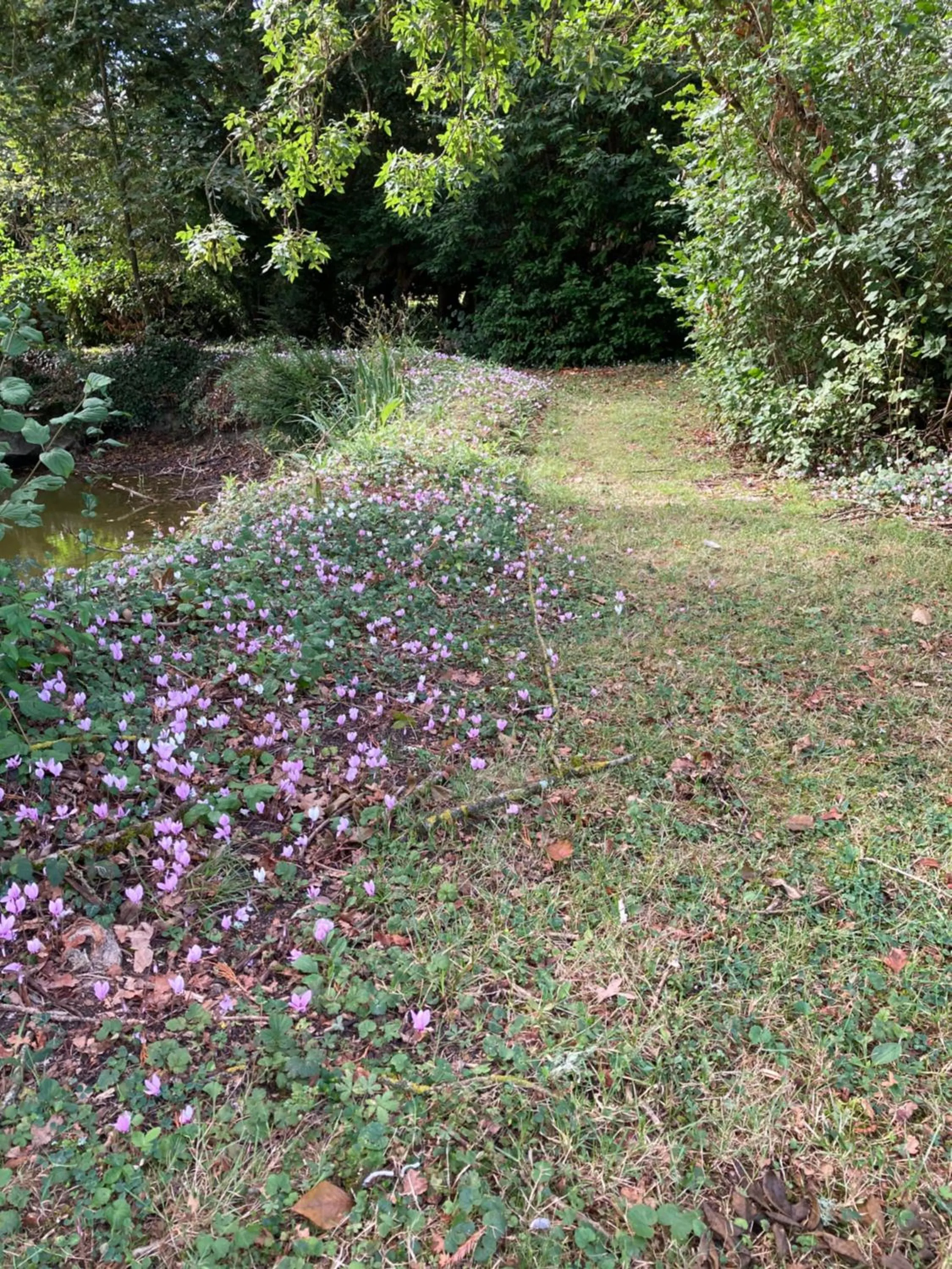Garden in Le Béguinage