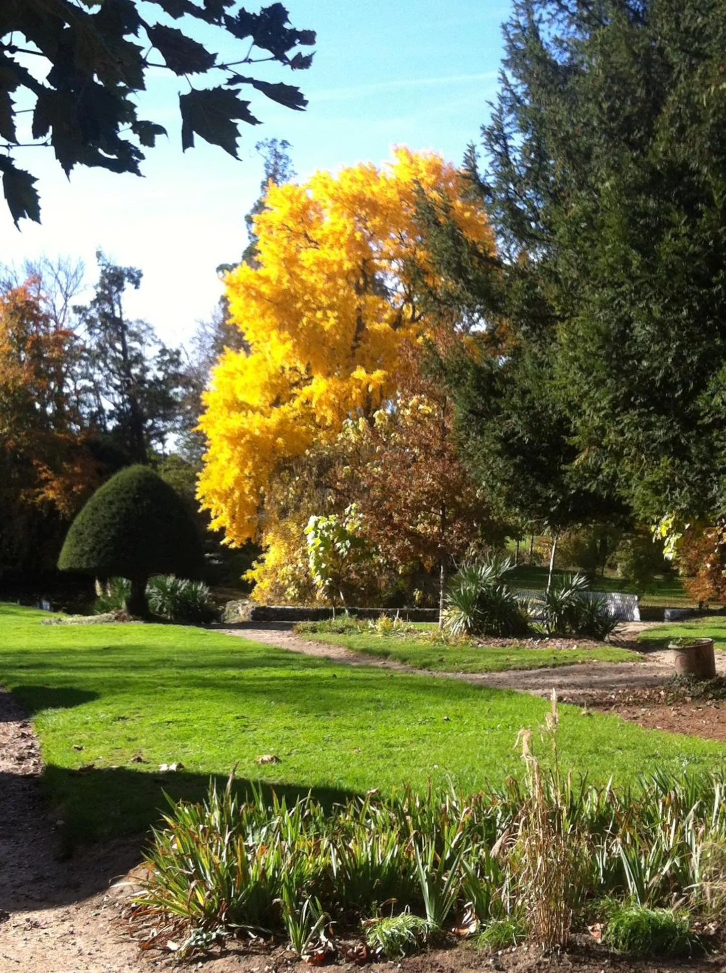 Garden view in Le Béguinage