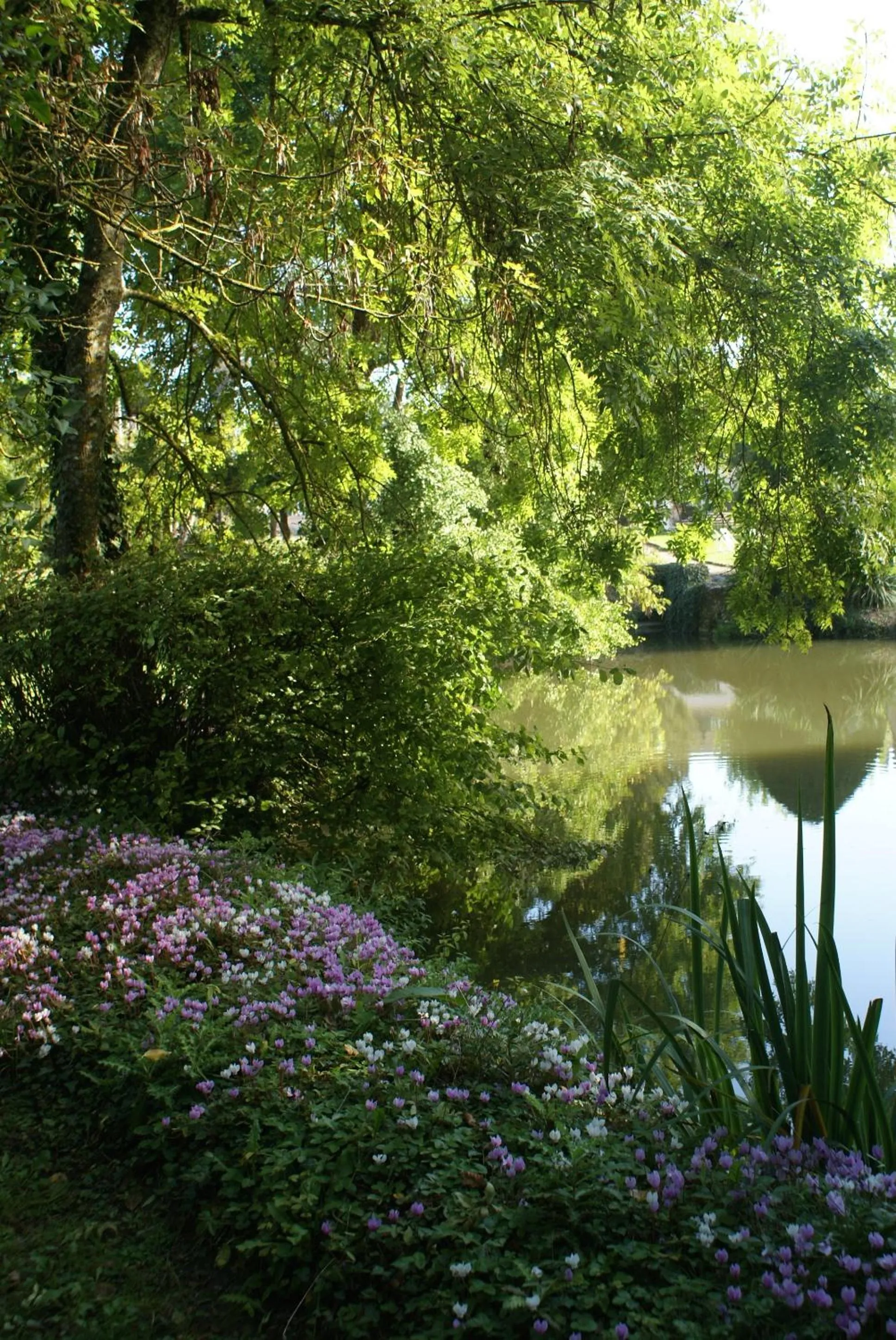 Garden view in Le Béguinage