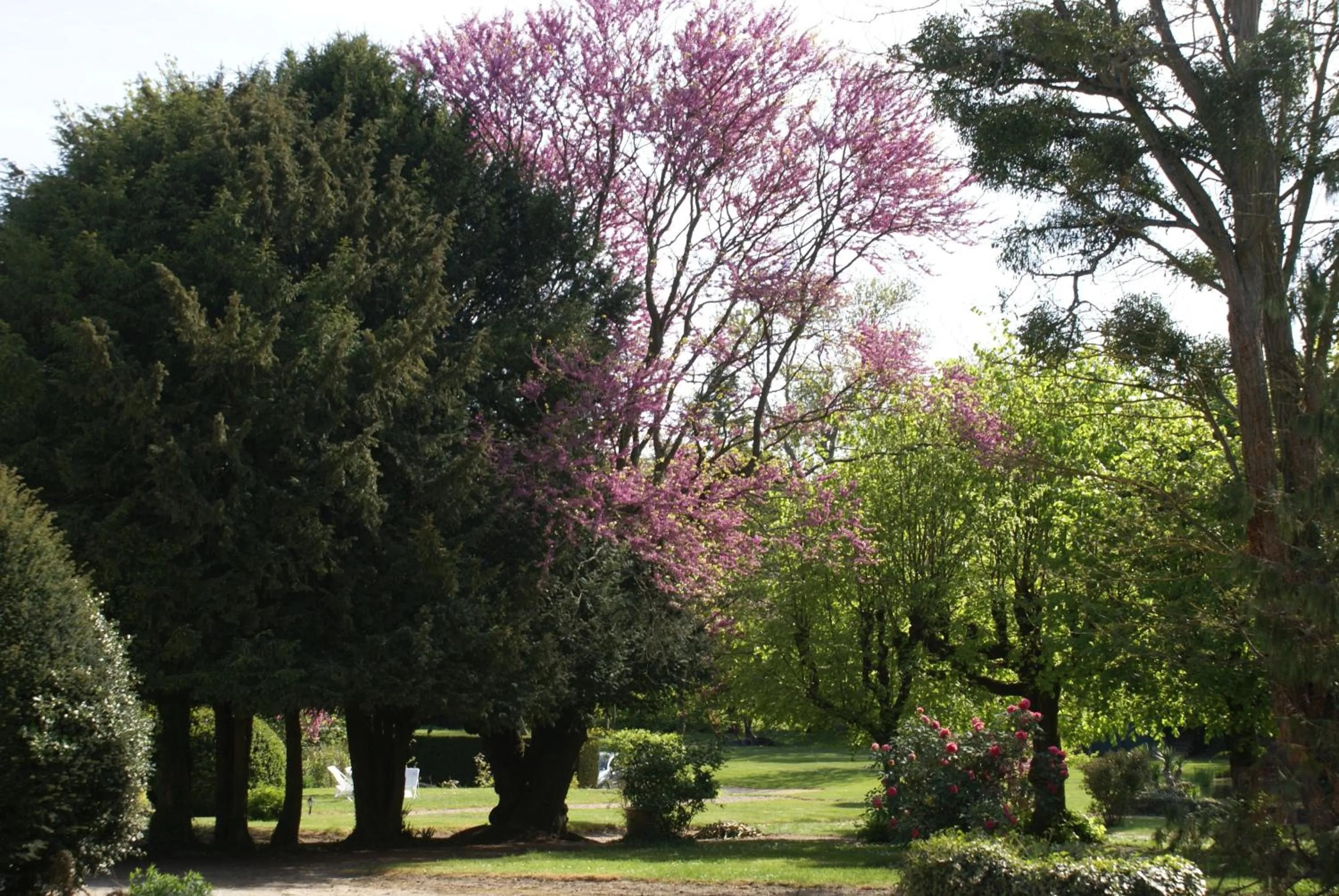 Garden view in Le Béguinage