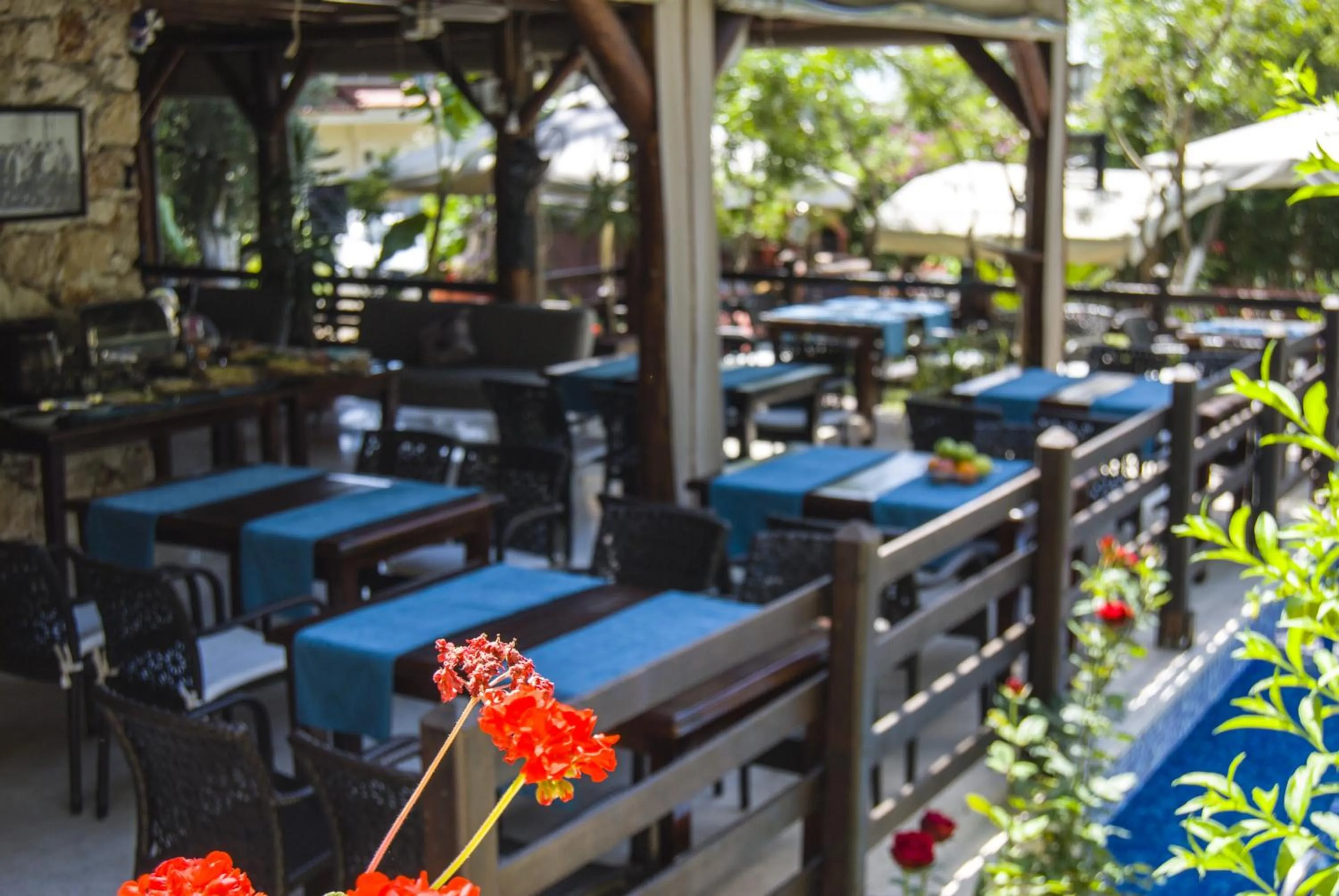 Restaurant/places to eat in Alya Hotel Göcek