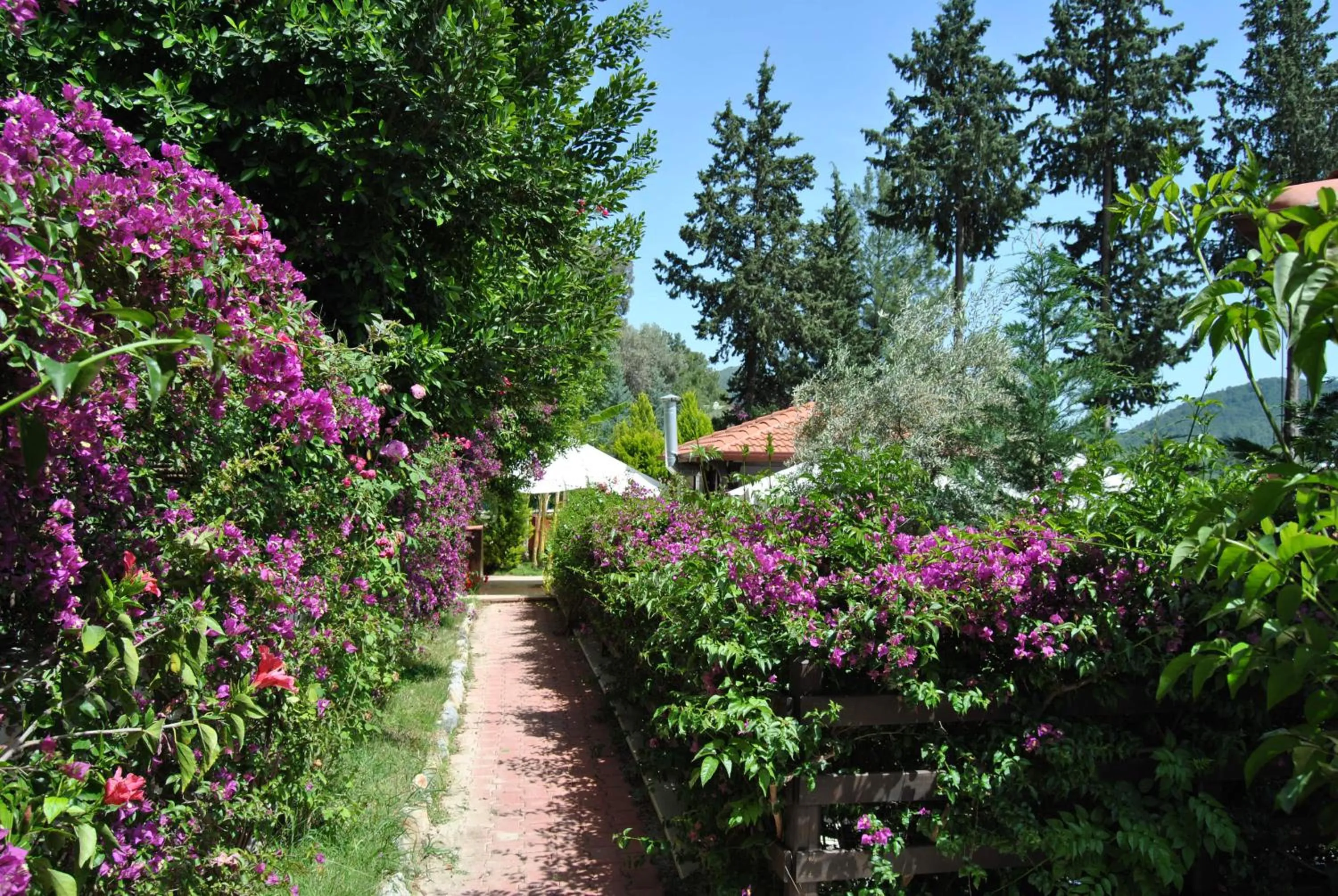 Garden in Alya Hotel Göcek