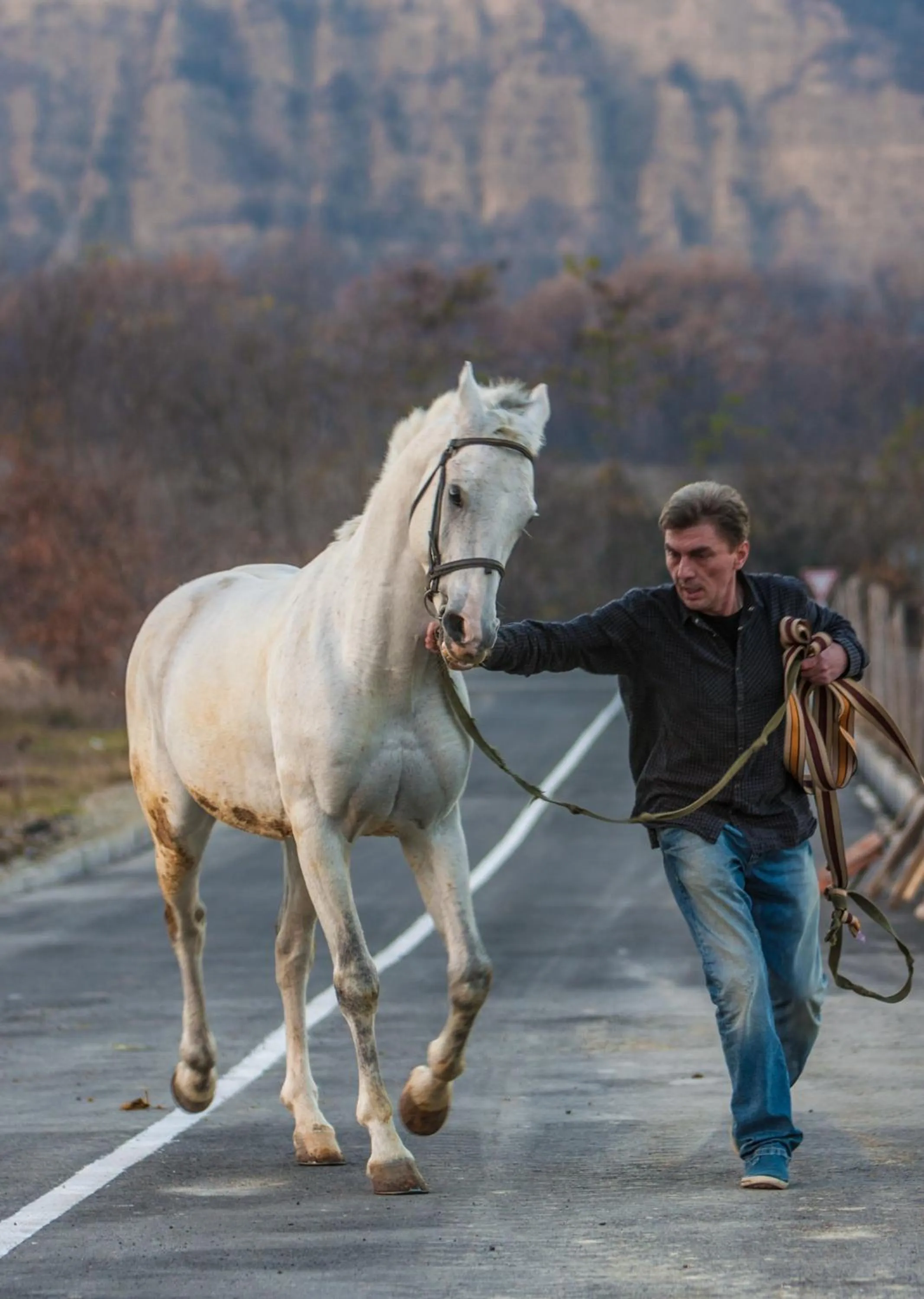 Horse-riding in Chateau Mere