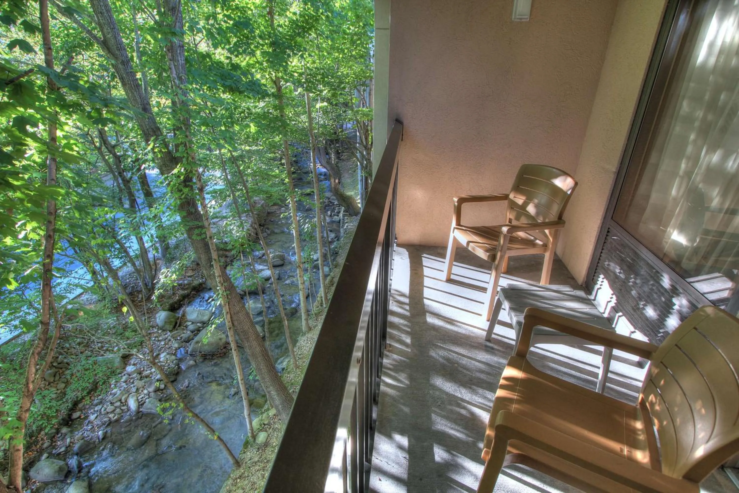 View (from property/room) in Hampton Inn Gatlinburg