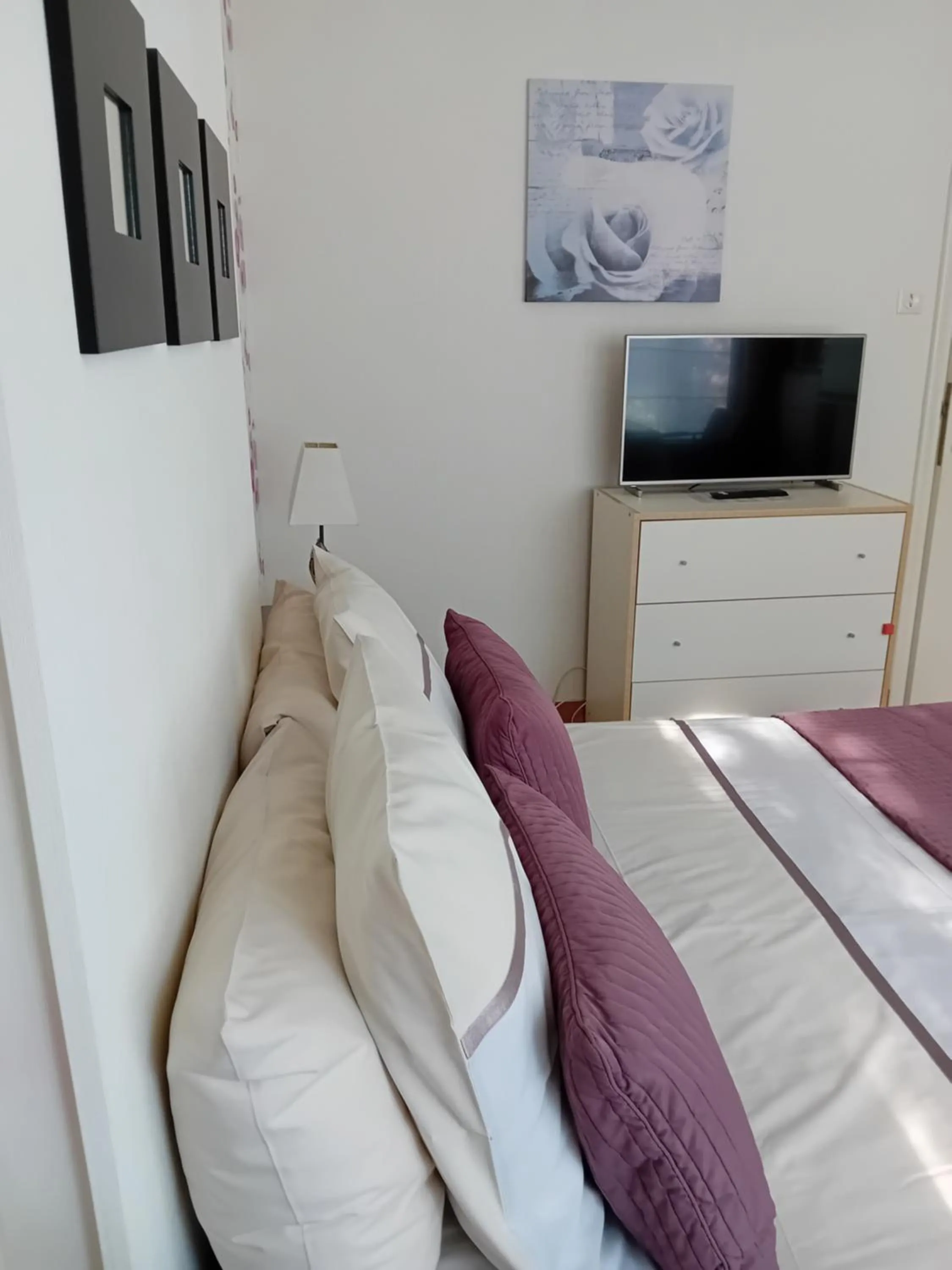 TV and multimedia in B&B Roseland