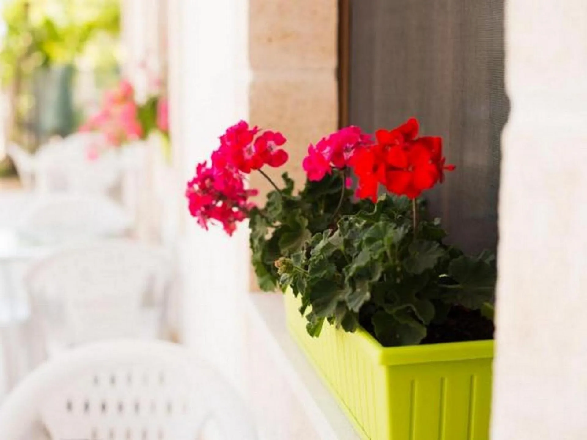 Property building in Masseria Lama D'impisa