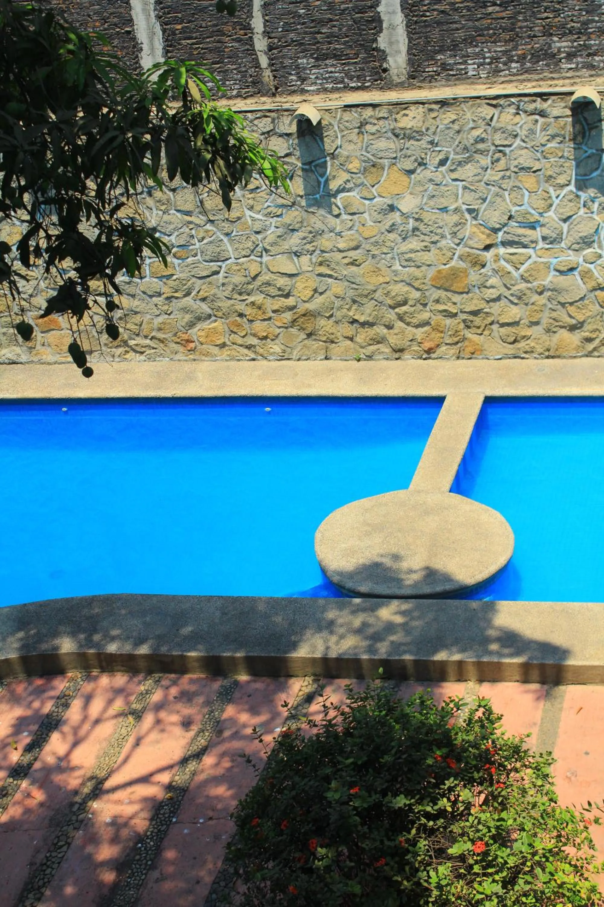 Pool view in Hotel Avenida