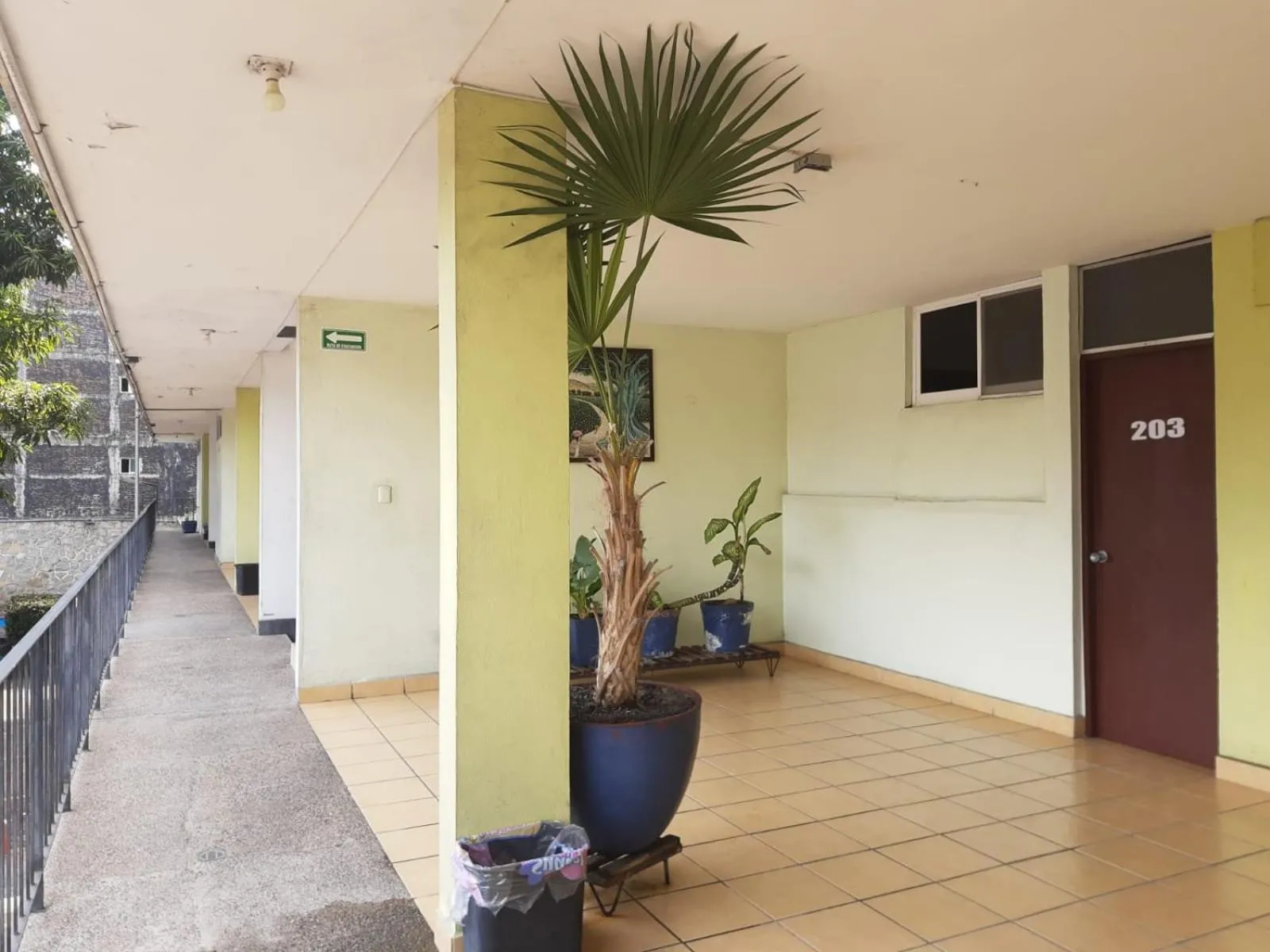 Property building in Hotel Avenida