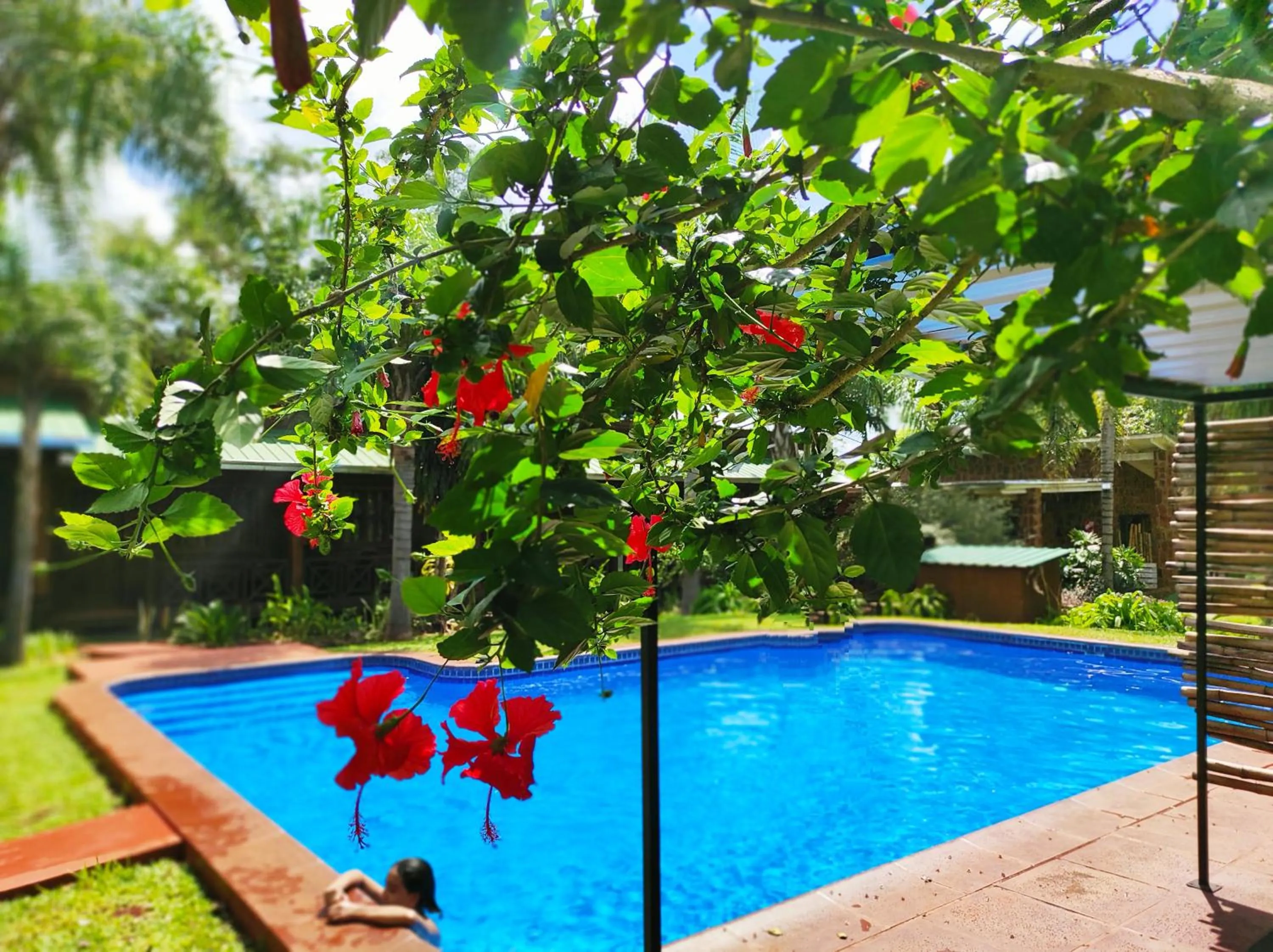 Garden in Posada 21 Oranges