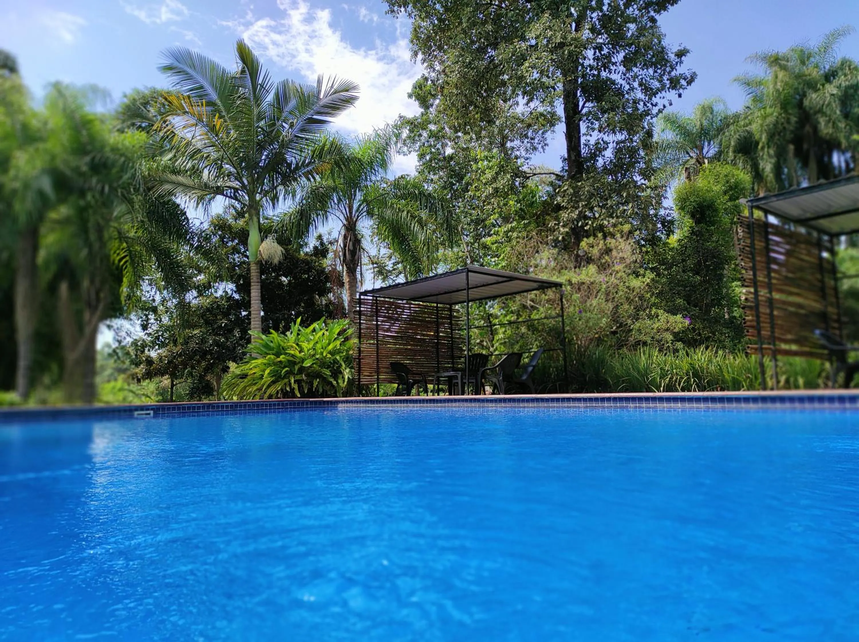 Swimming pool in Posada 21 Oranges
