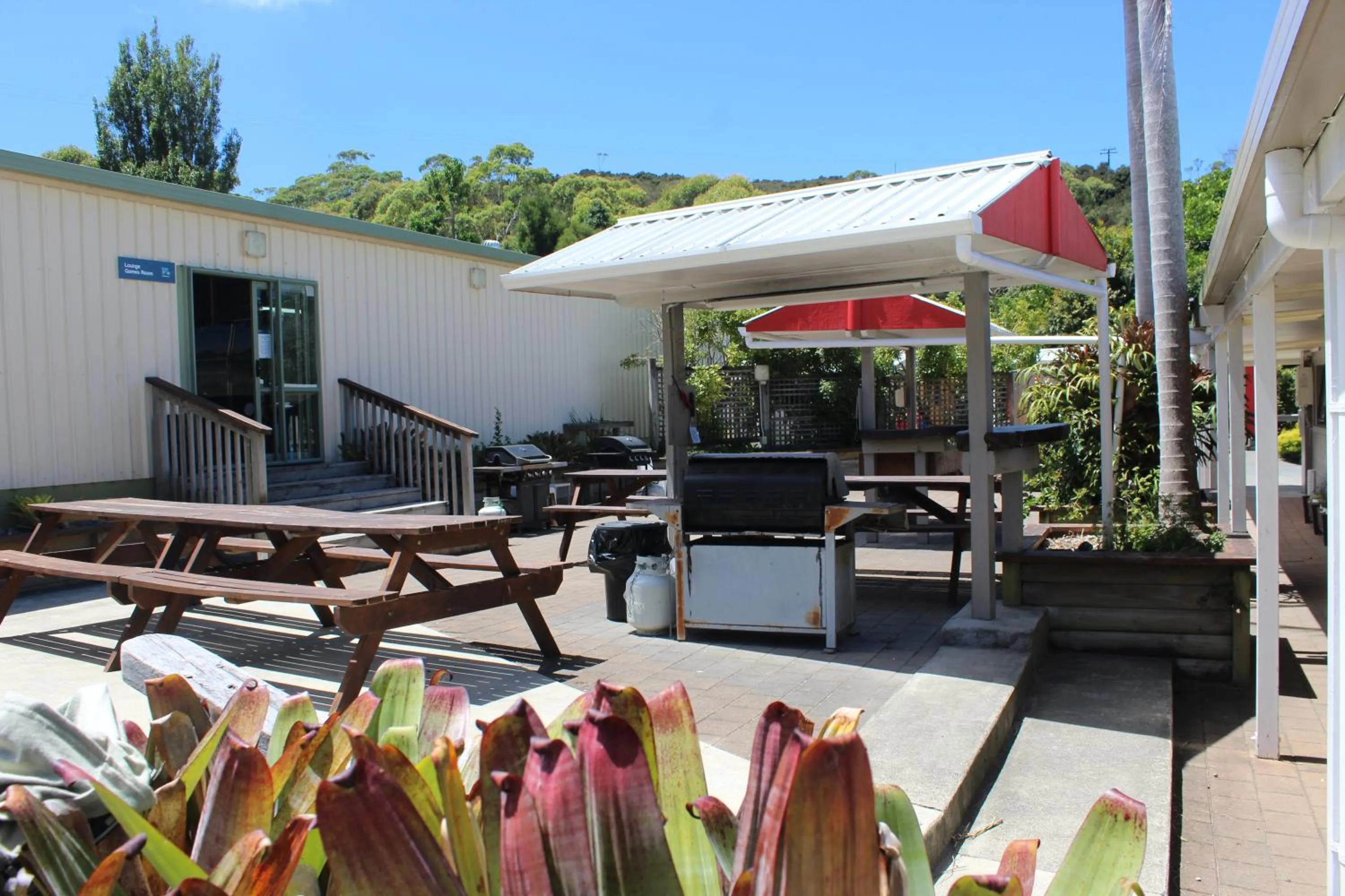 BBQ facilities in Whatuwhiwhi TOP 10 Holiday Park