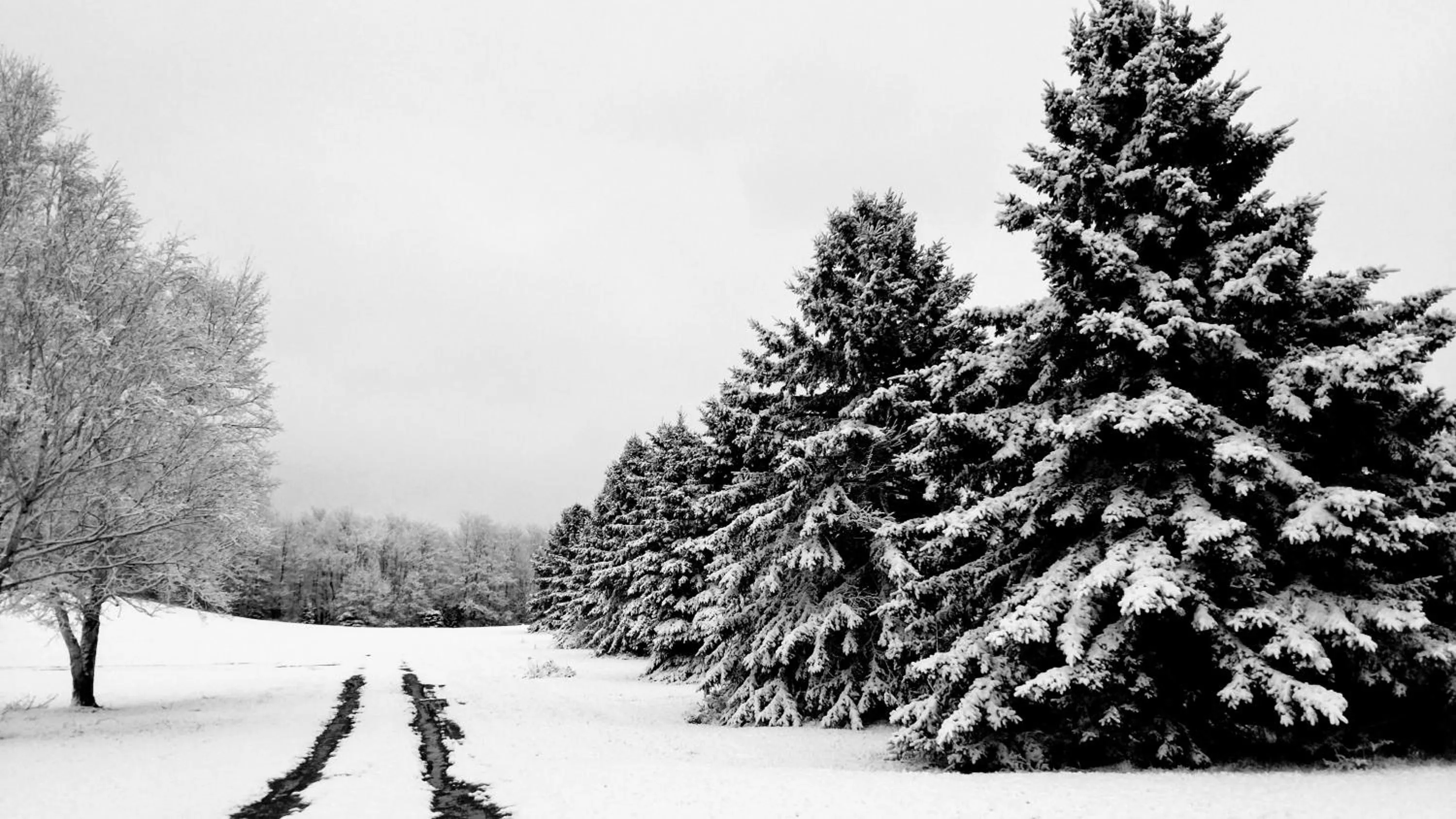 Property building in North Ironwood Acres - Black River Lodge