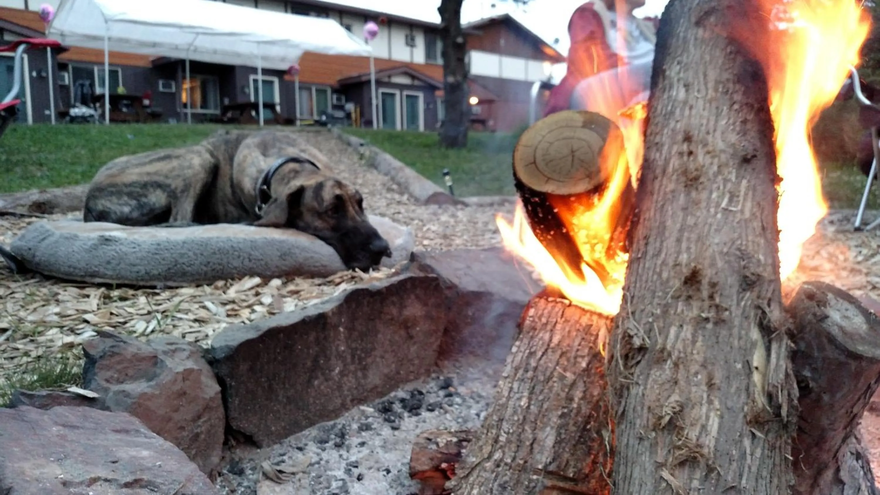Staff in North Ironwood Acres - Black River Lodge