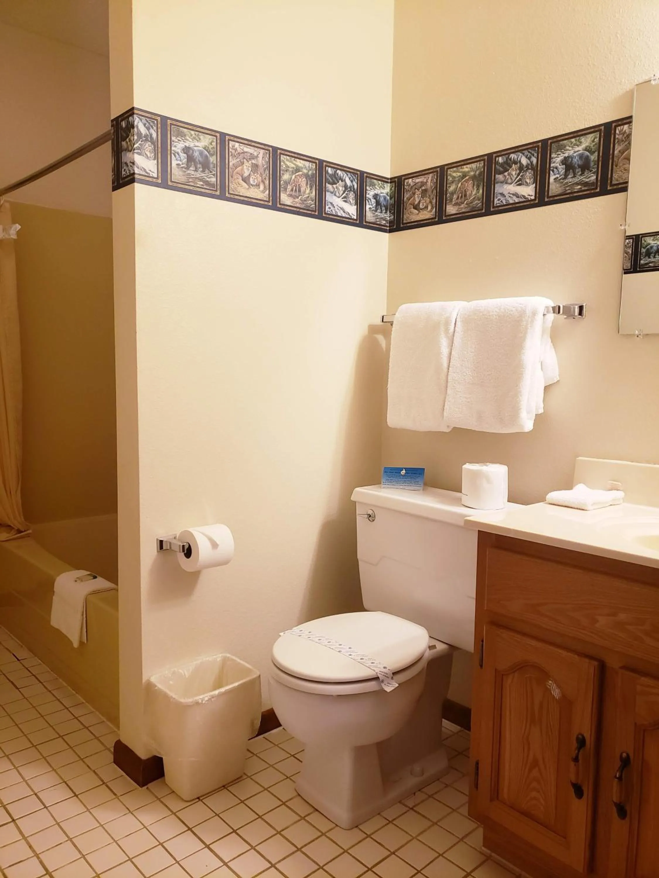 Bathroom in North Ironwood Acres - Black River Lodge